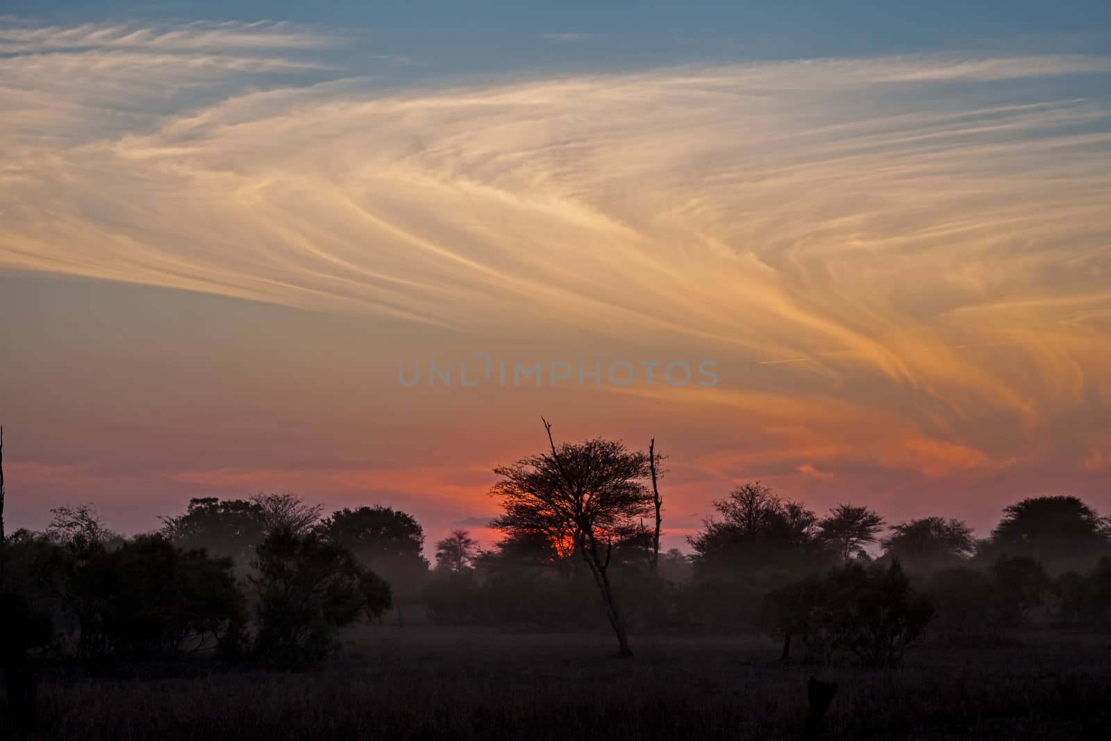 Bushveld sunset with interesting cloud formations. 3610 by kobus_peche