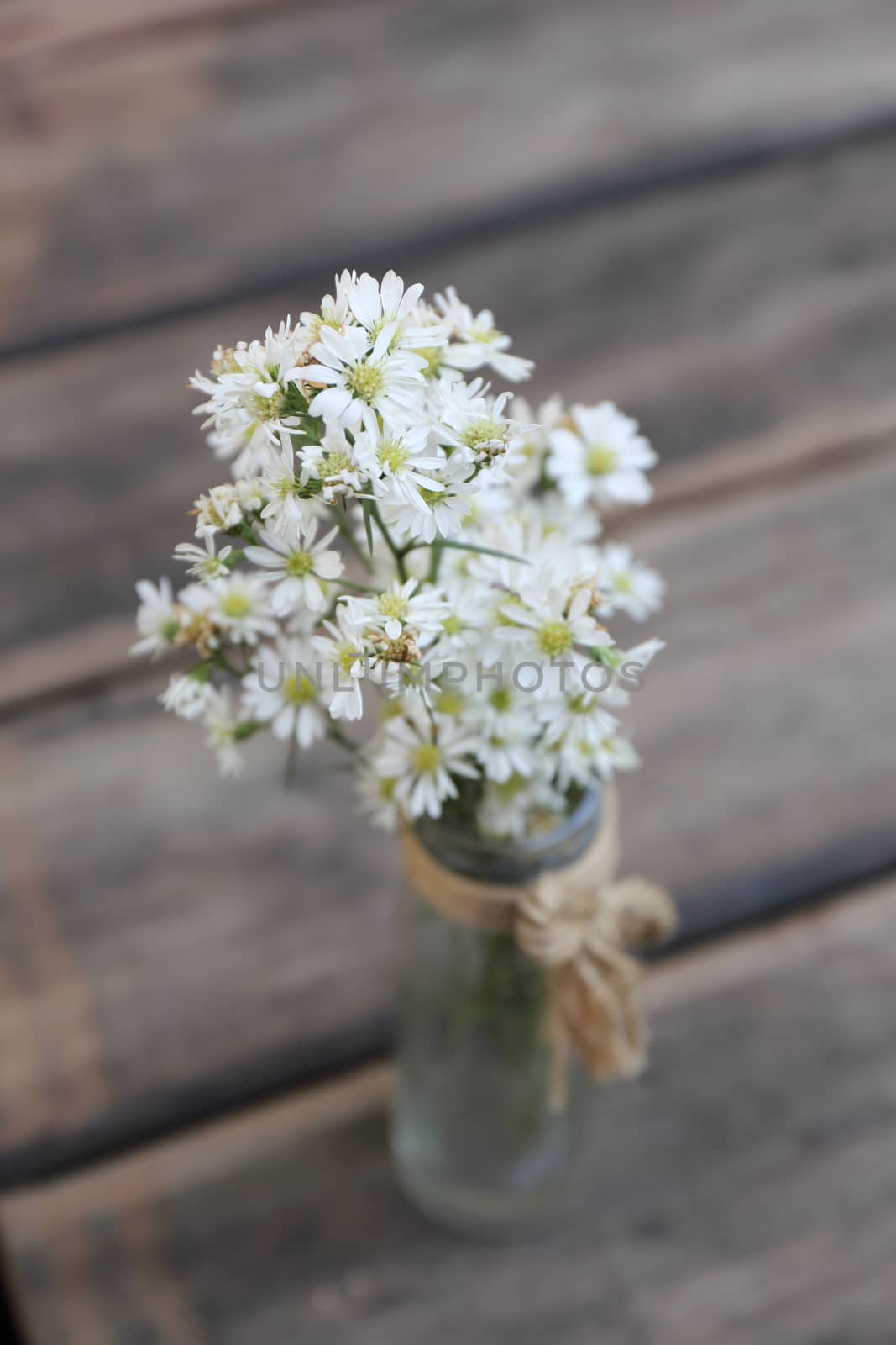 flower in jar