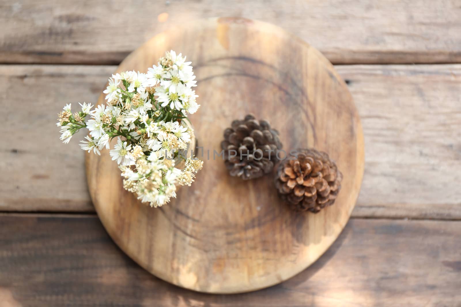 flower in jar