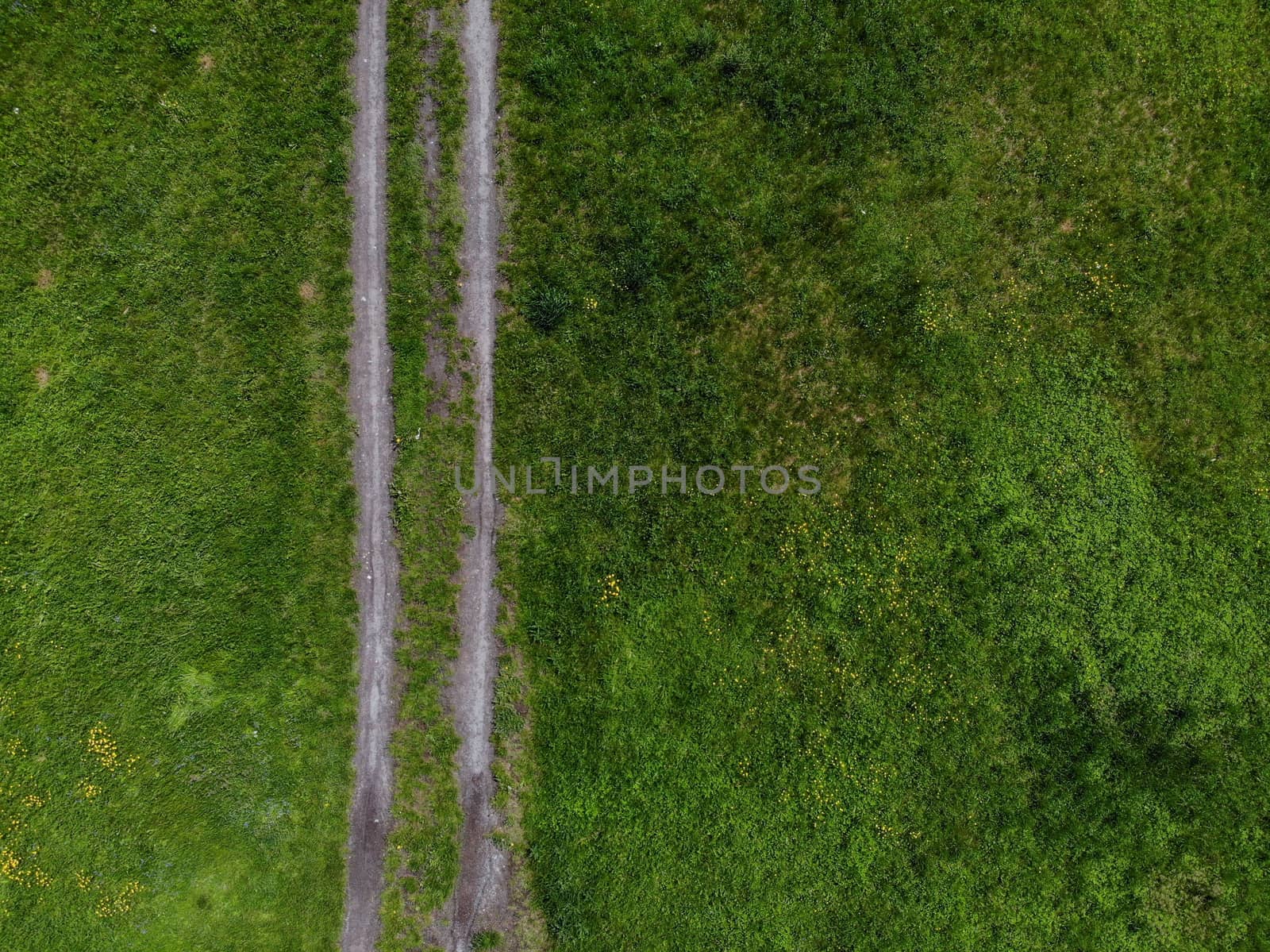 Top down look to connection of paths between grass and bushes