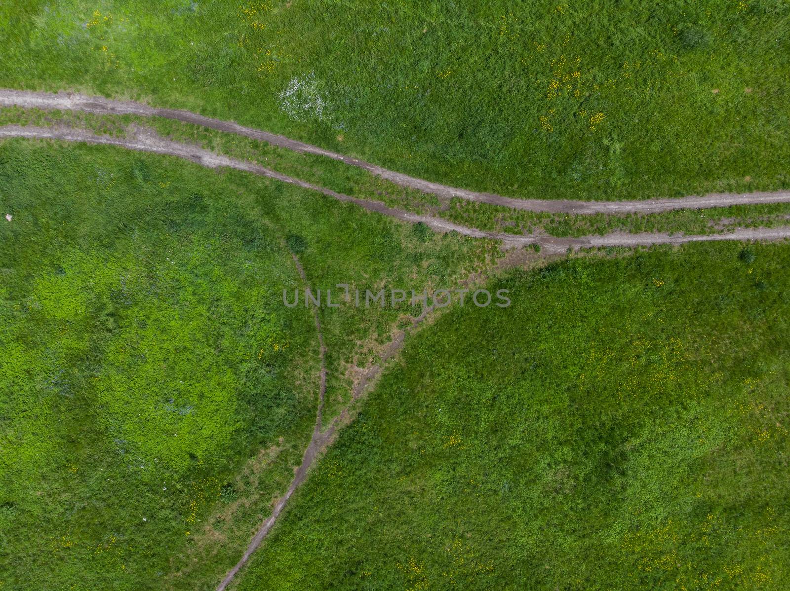 Top down look to connection of paths between grass, bushes and trees