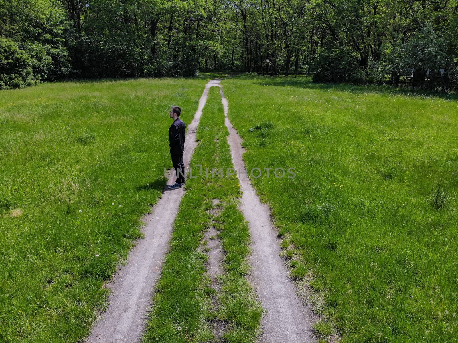 Man on double path at green clearing with trees around by Wierzchu