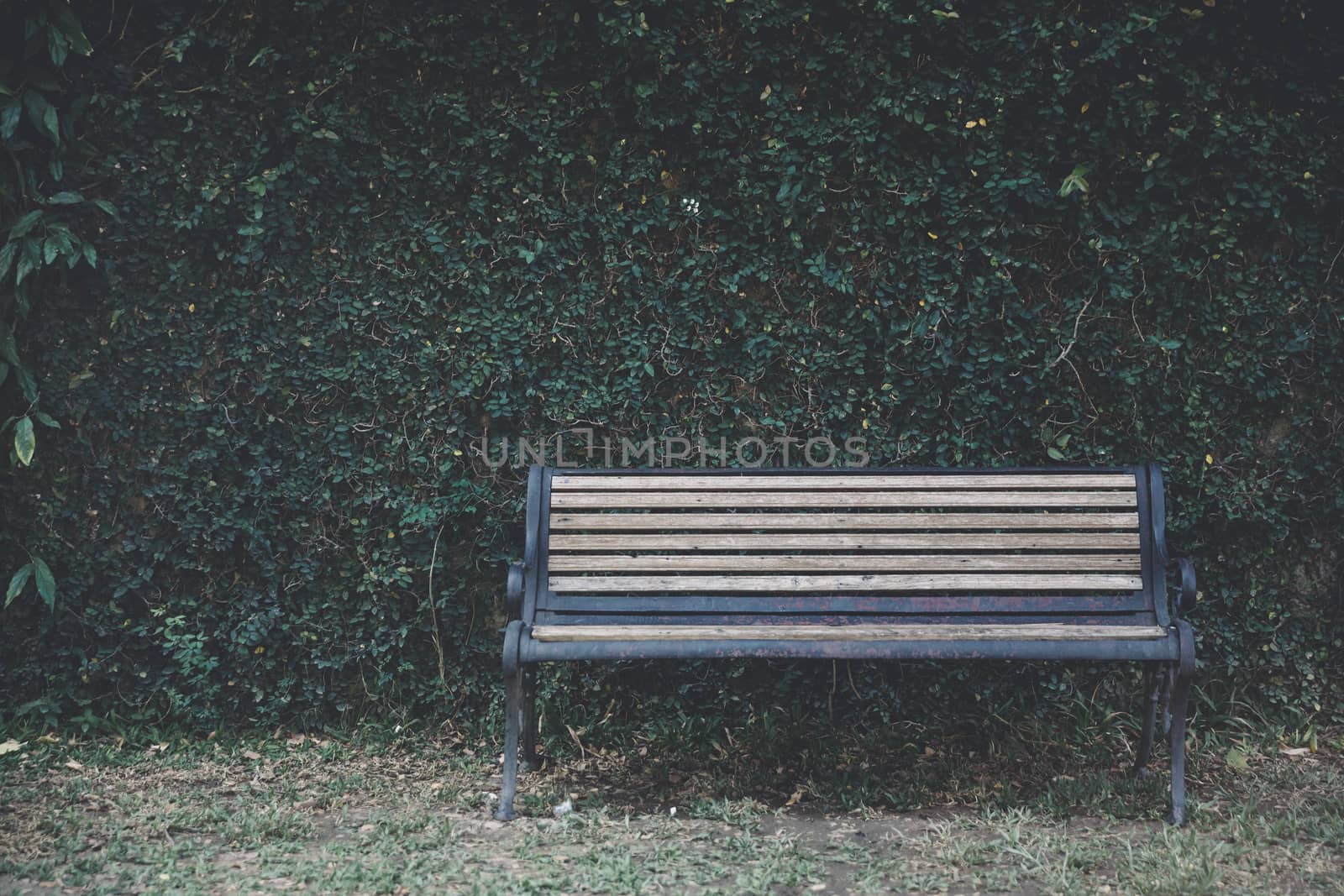 bench and leaves texture at English park