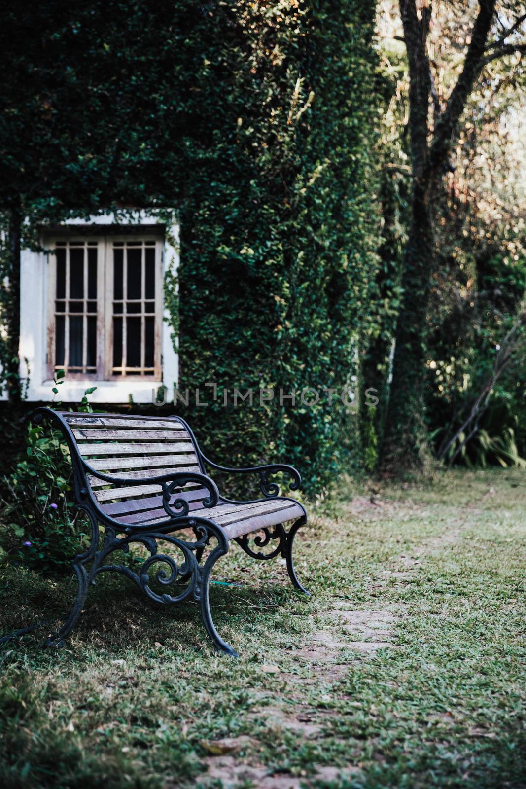 bench and window with leaves texture at English park