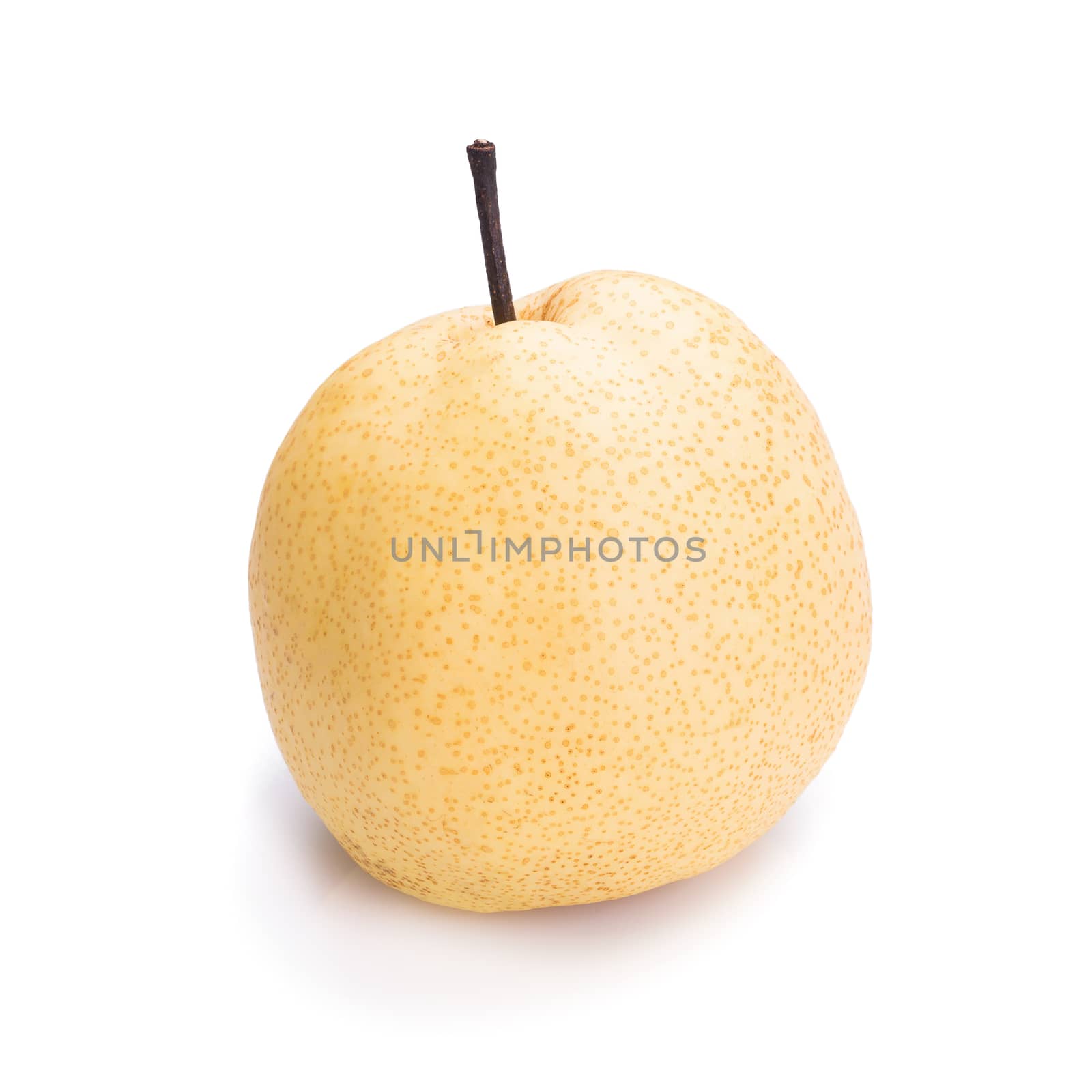 Chinese pear fruits on white background.
