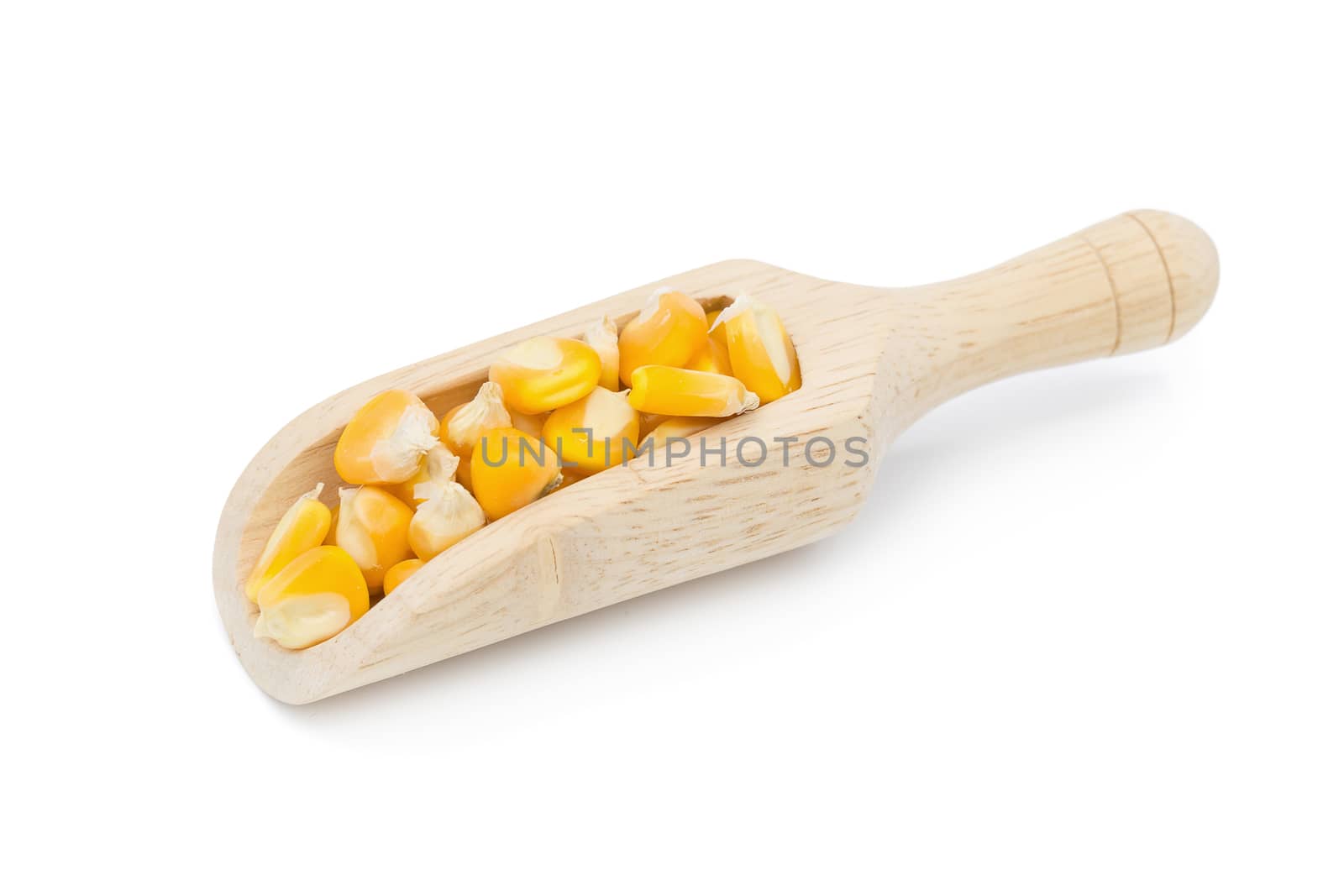 Dried corn maize isolated on the white background.