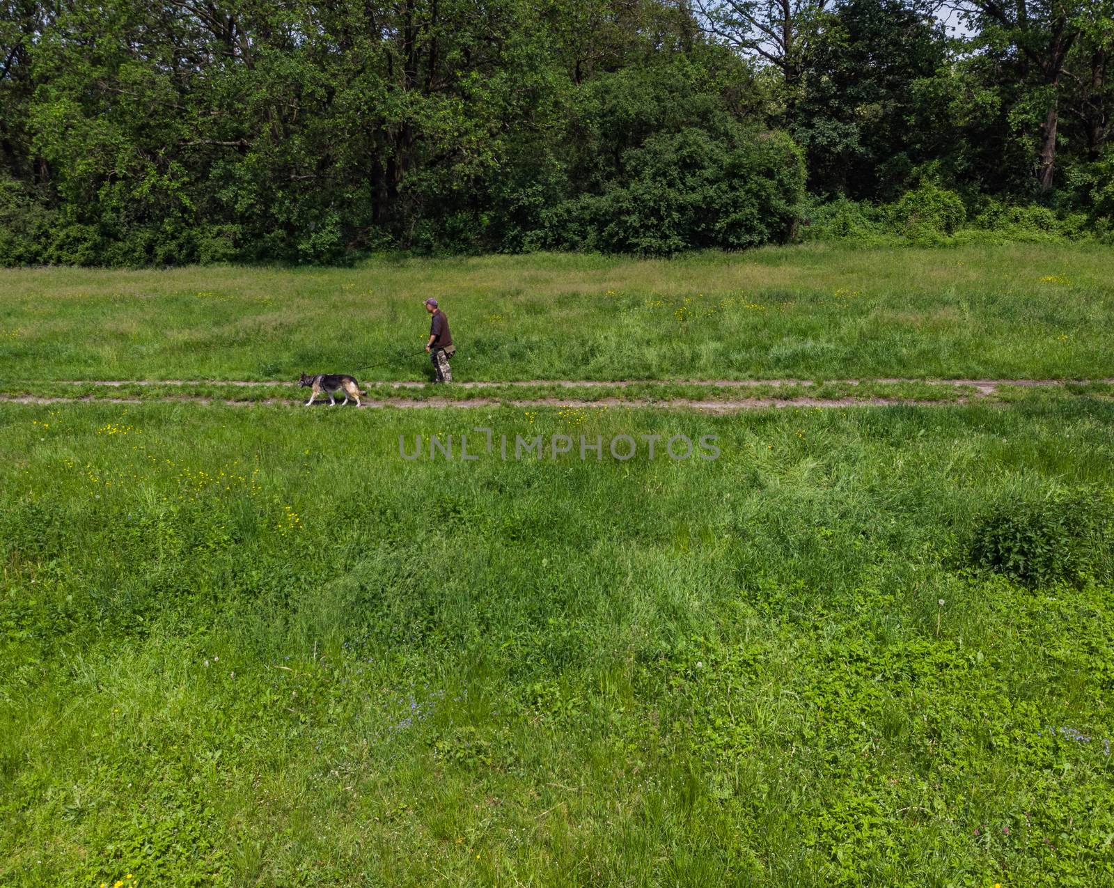 Man walking with dog on clearing with trees around 