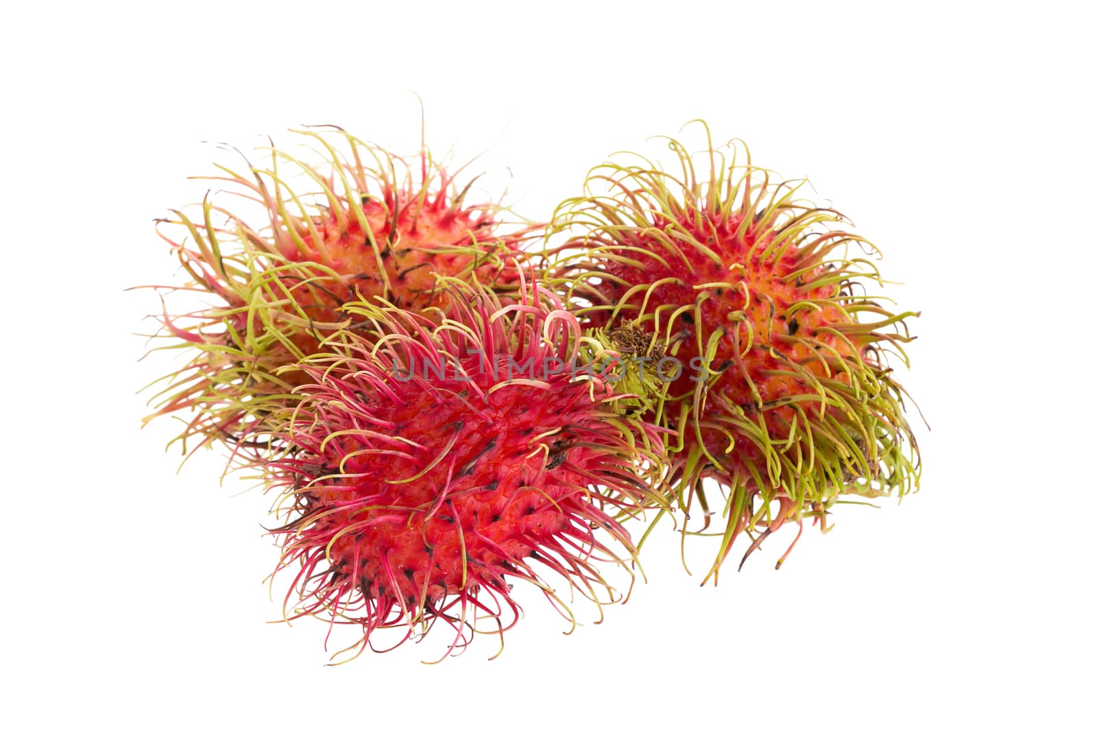 fresh rambutan tropical fruit isolated on a white background by kaiskynet