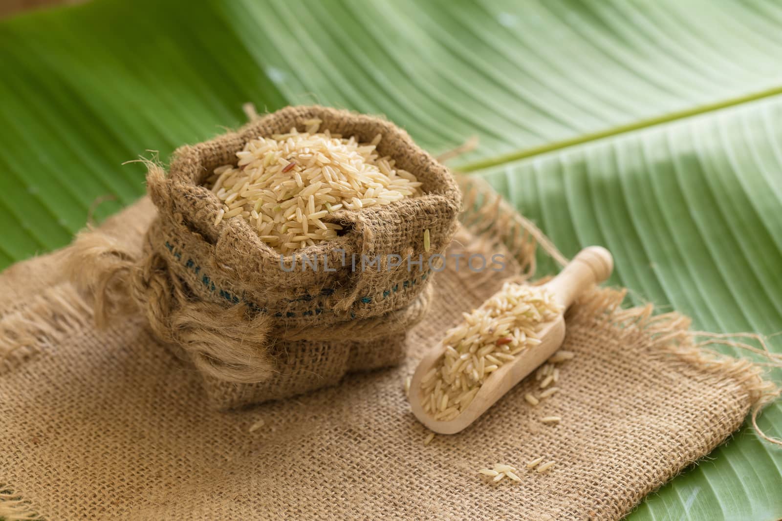 Brown rice in sacks on banana leaves by kaiskynet