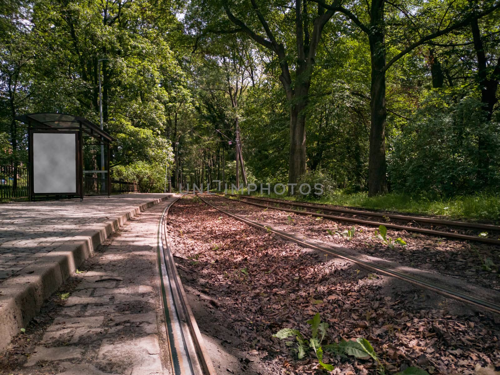 Tram rails near tram station in park between trees