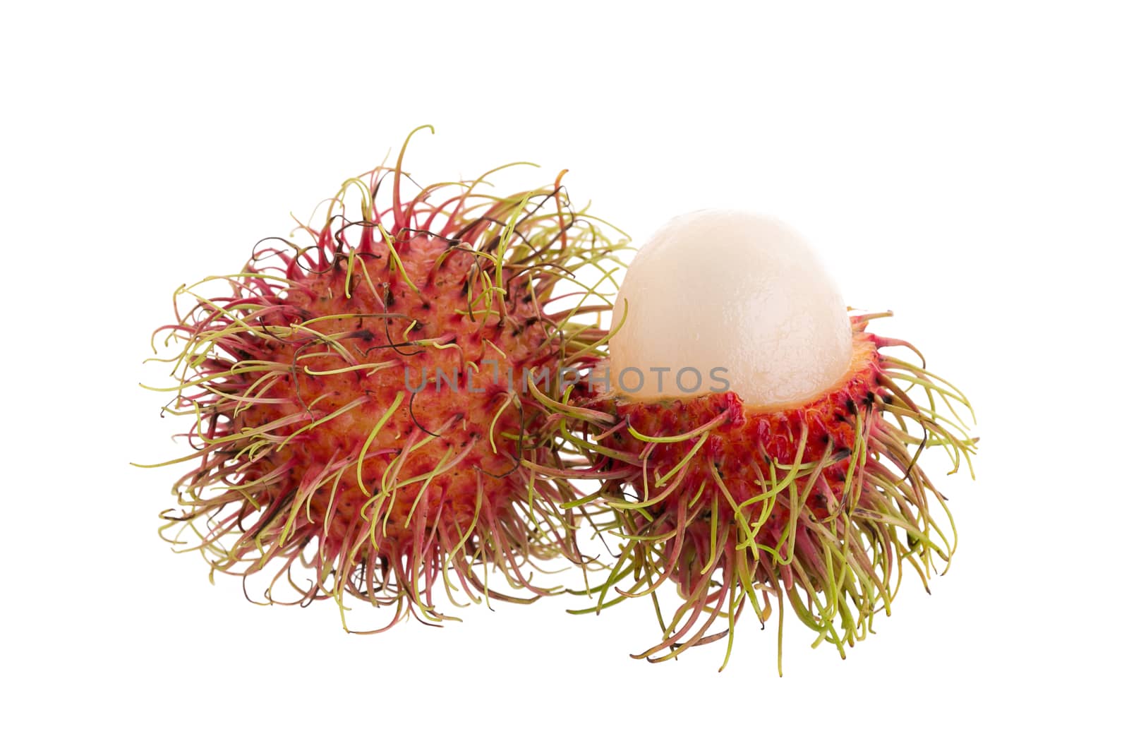 fresh rambutan tropical fruit isolated on a white background by kaiskynet