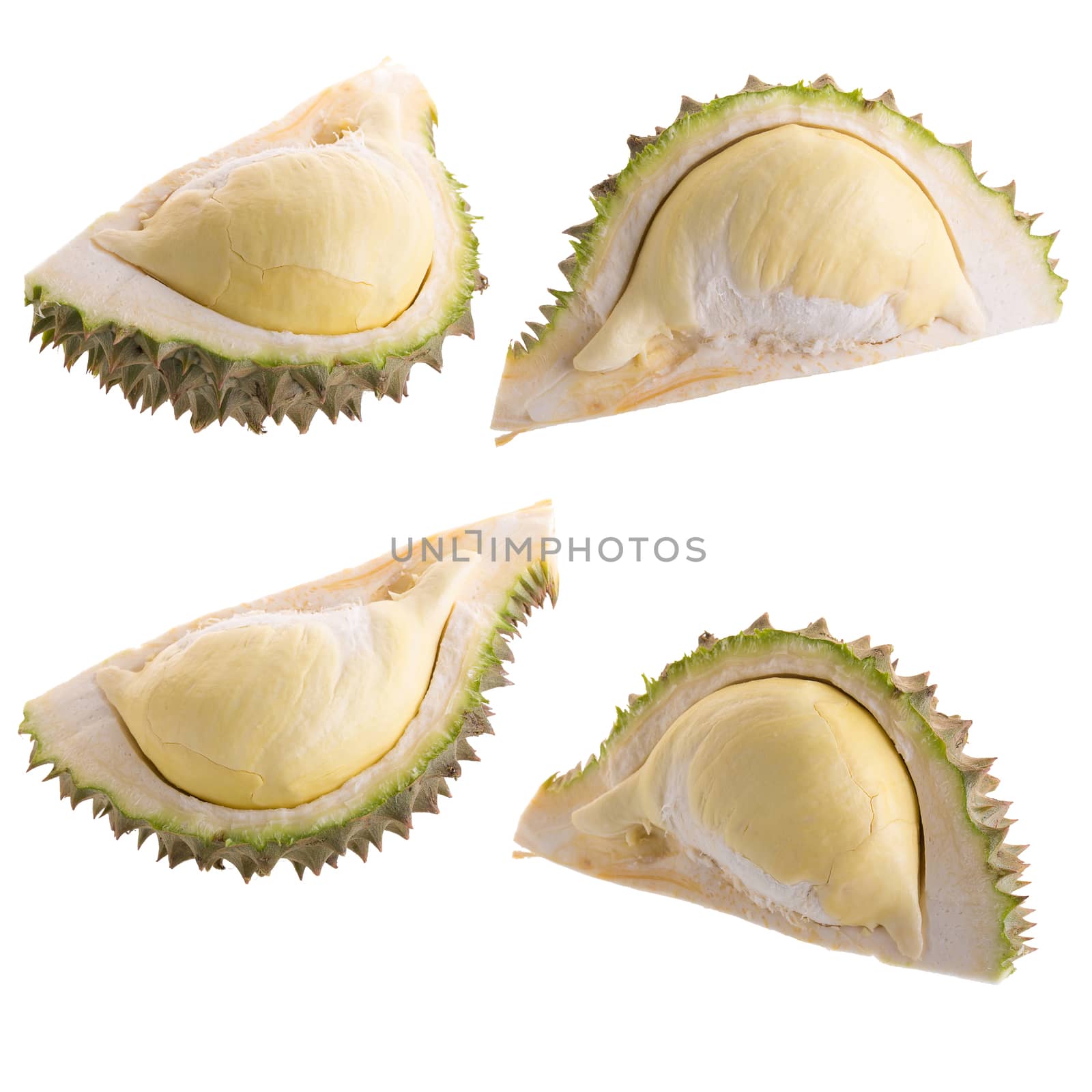 Fresh Cut Durian on a white background.