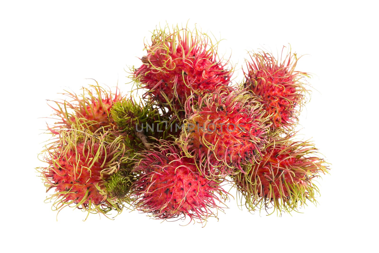 fresh rambutan tropical fruit isolated on a white background.