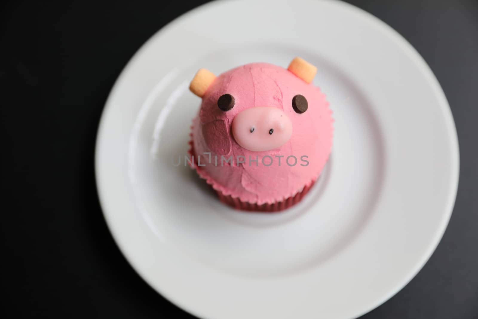 Fancy cupcake cute pig face