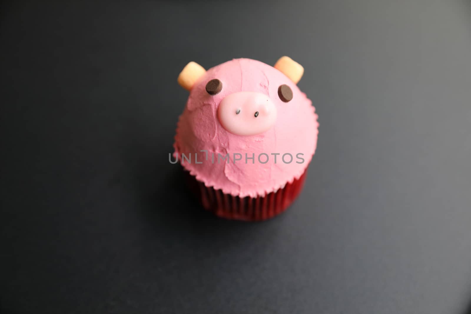 Fancy cupcake cute pig face