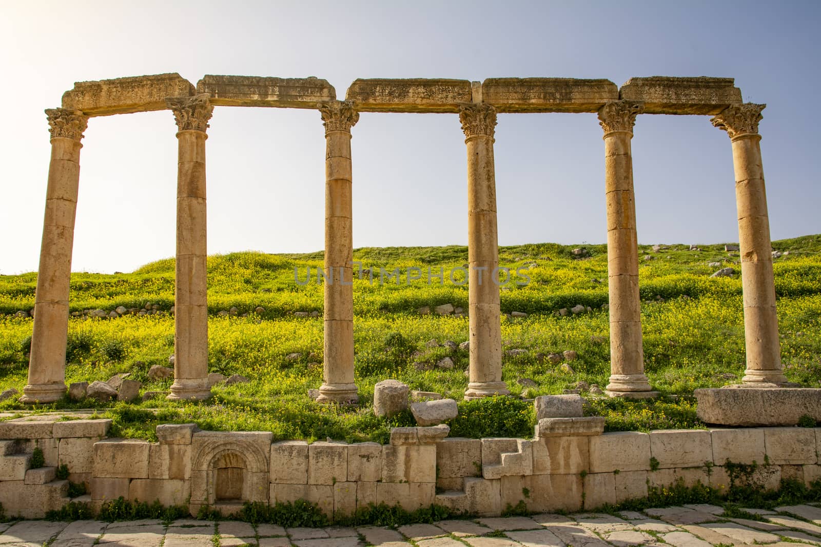 Pillars of the Colonnaded Street at the Roman historical site of Gerasa, Jerash, Jordan by kb79