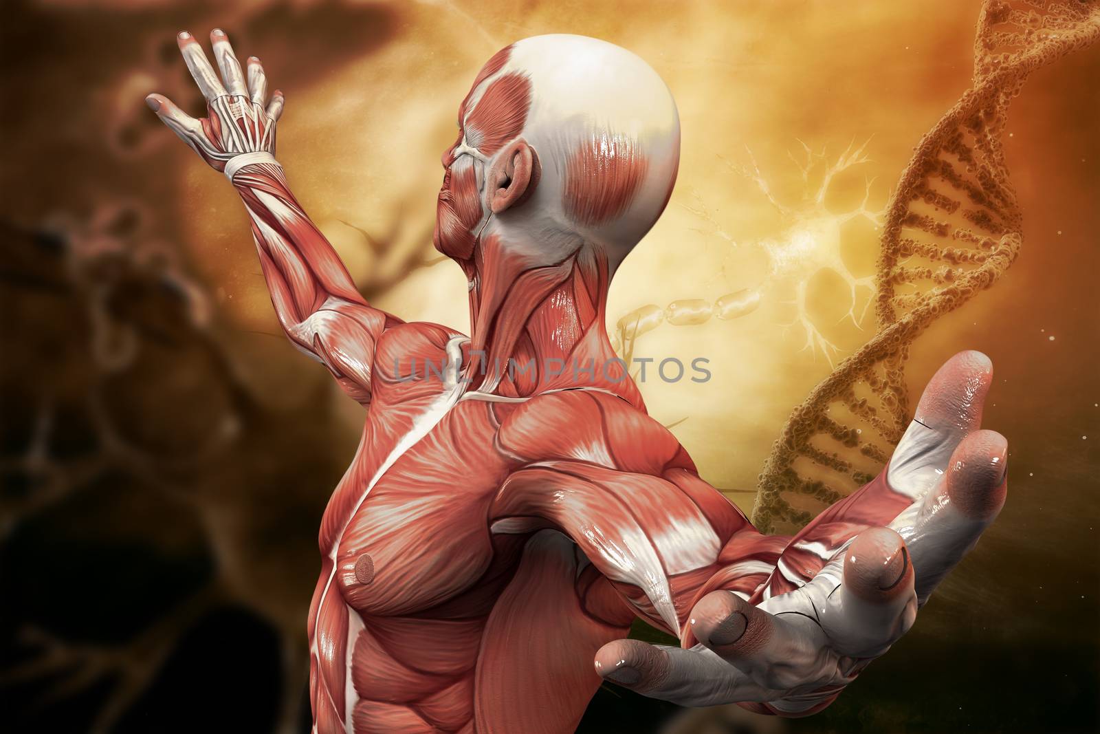 DNA, neurons molecule and man  on the art background. 3D illustration