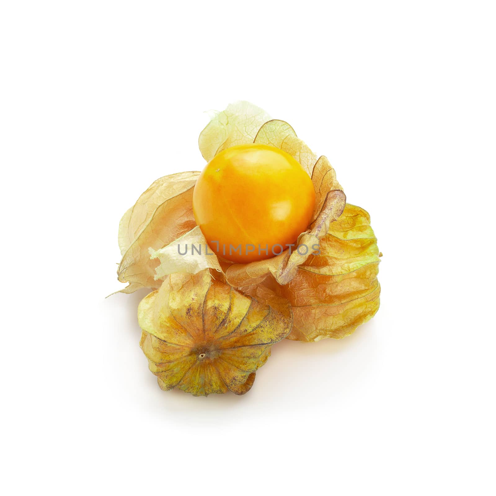 Cape Gooseberry, Physalis fruit or golden berry isolated over wh by kaiskynet