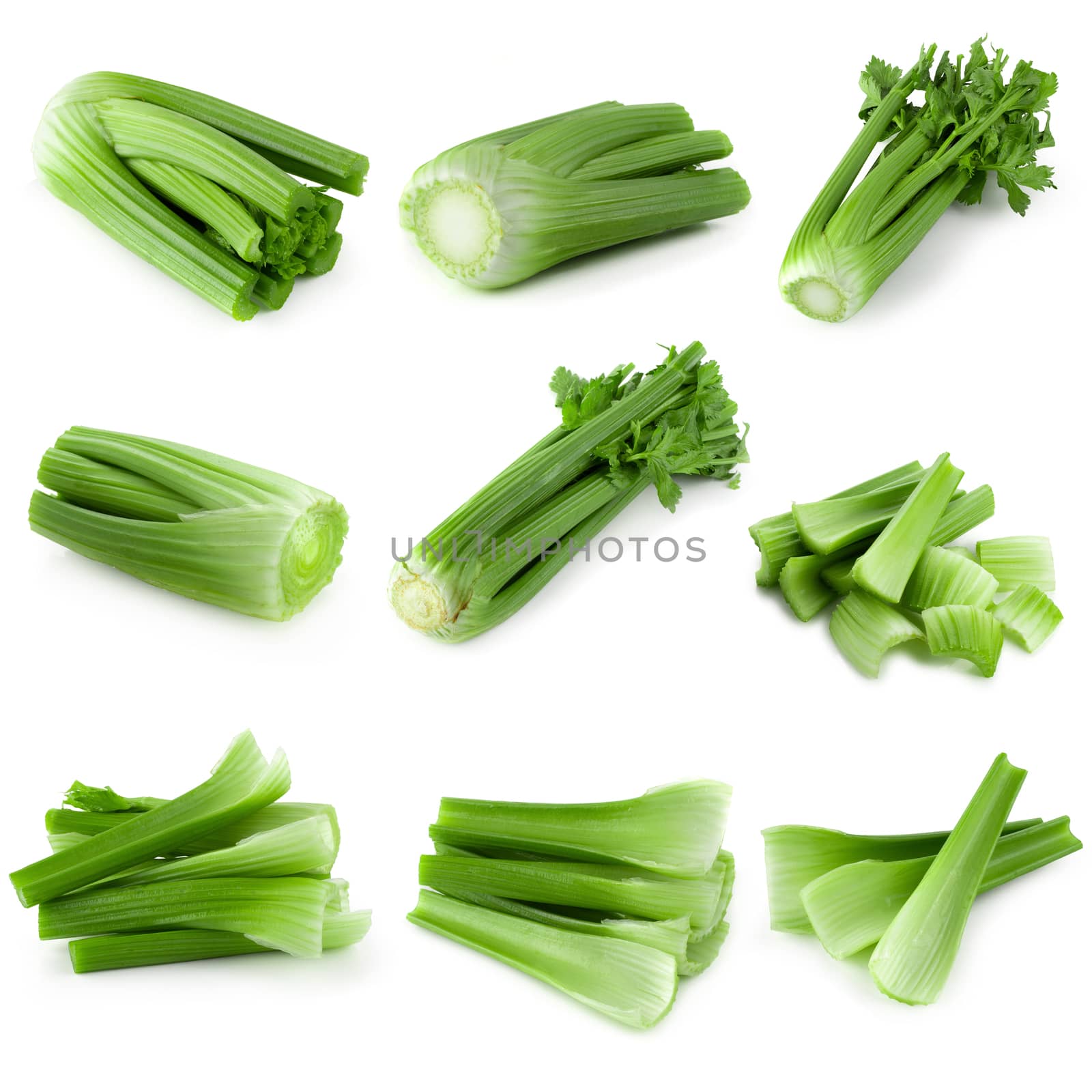 fresh celery isolated over a white background. by kaiskynet