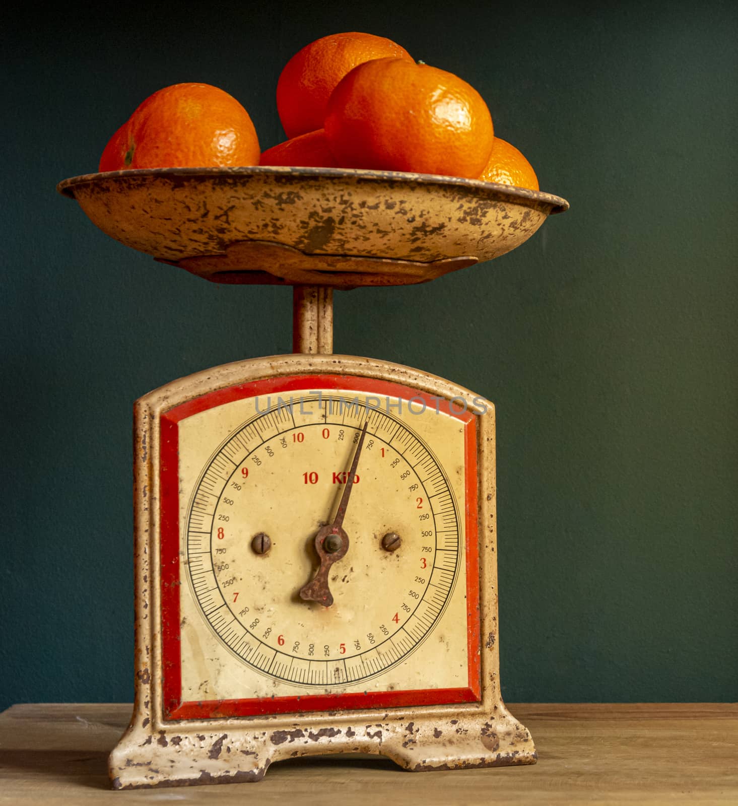 Weighing tangerines in a retro, vintage and worn out scale or balance, on a wooden plank against a guatemala green wall.