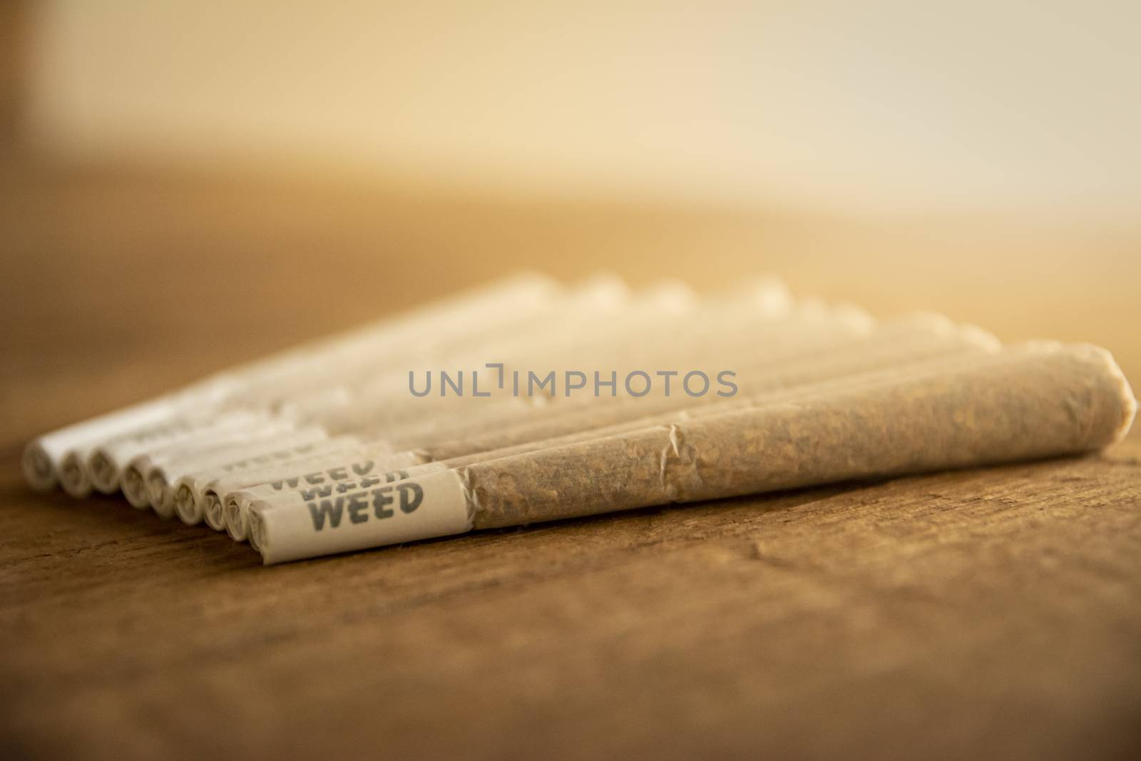 A bunch of Dutch Marijuana or weed joints next to each other, lined up, on rough wood, warm sunlight from the side. by kb79