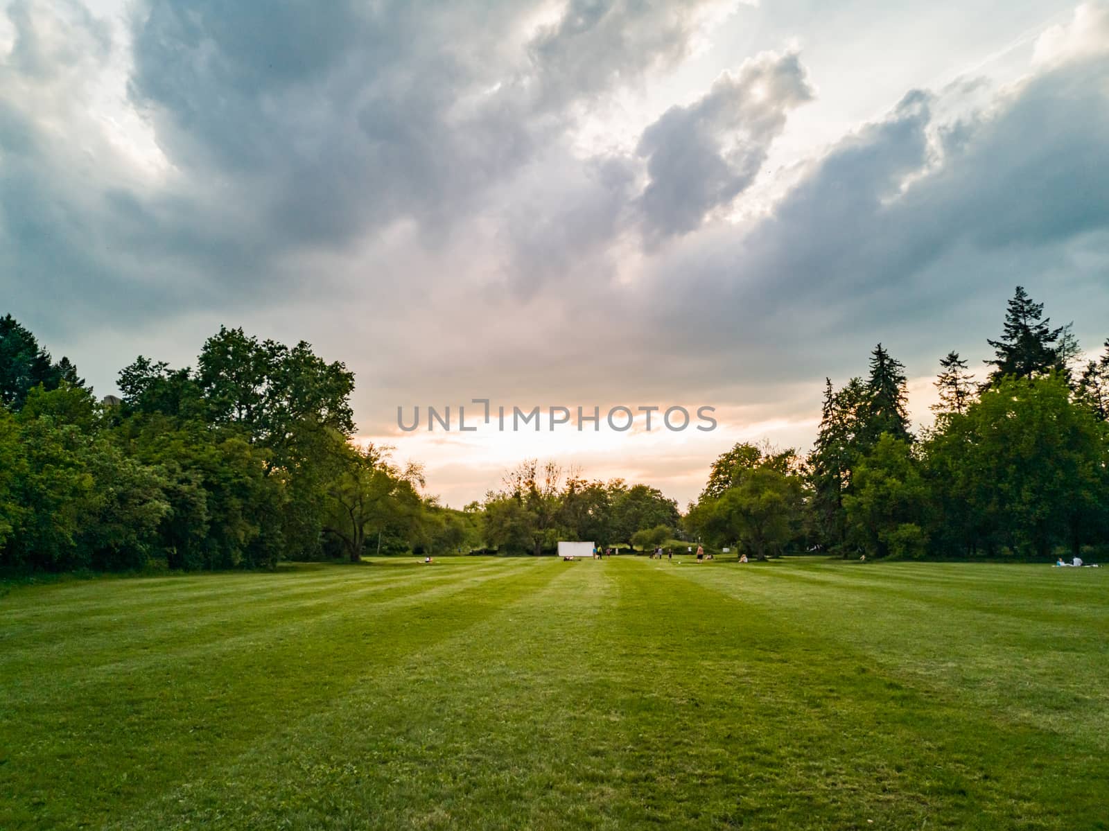 Green clearing in park over dark clouds and colorful sunset