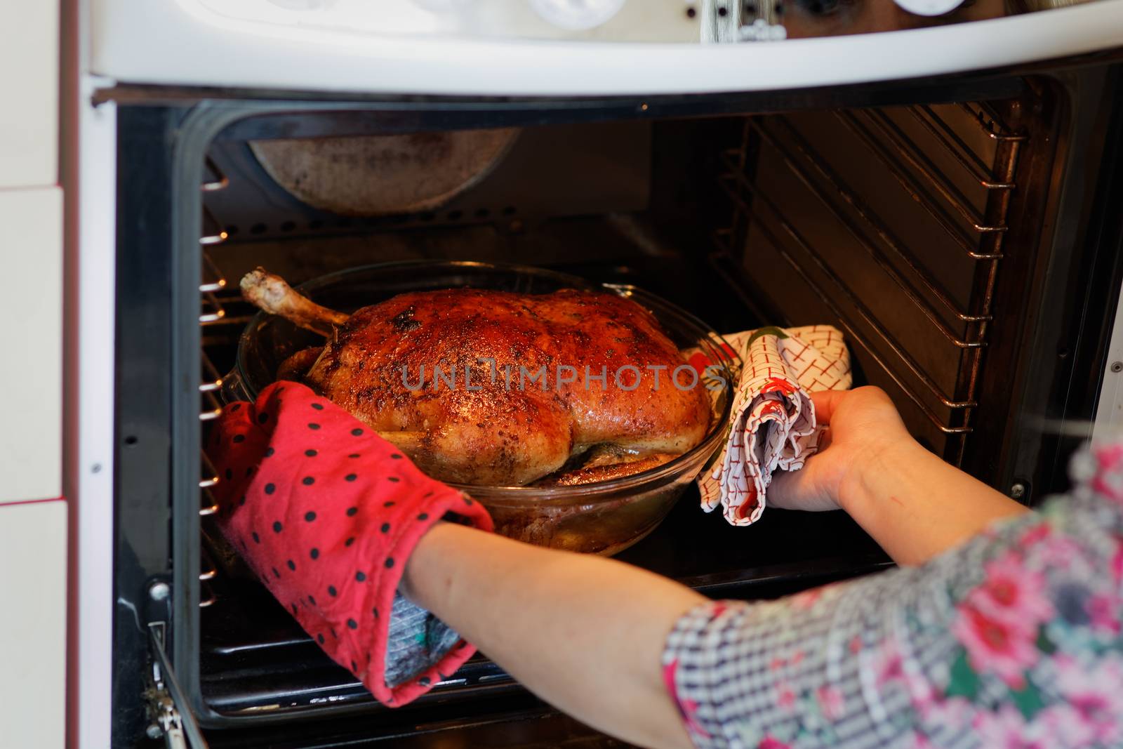 Woman taking out crispy roasted duck in a roasting pan in an oven.