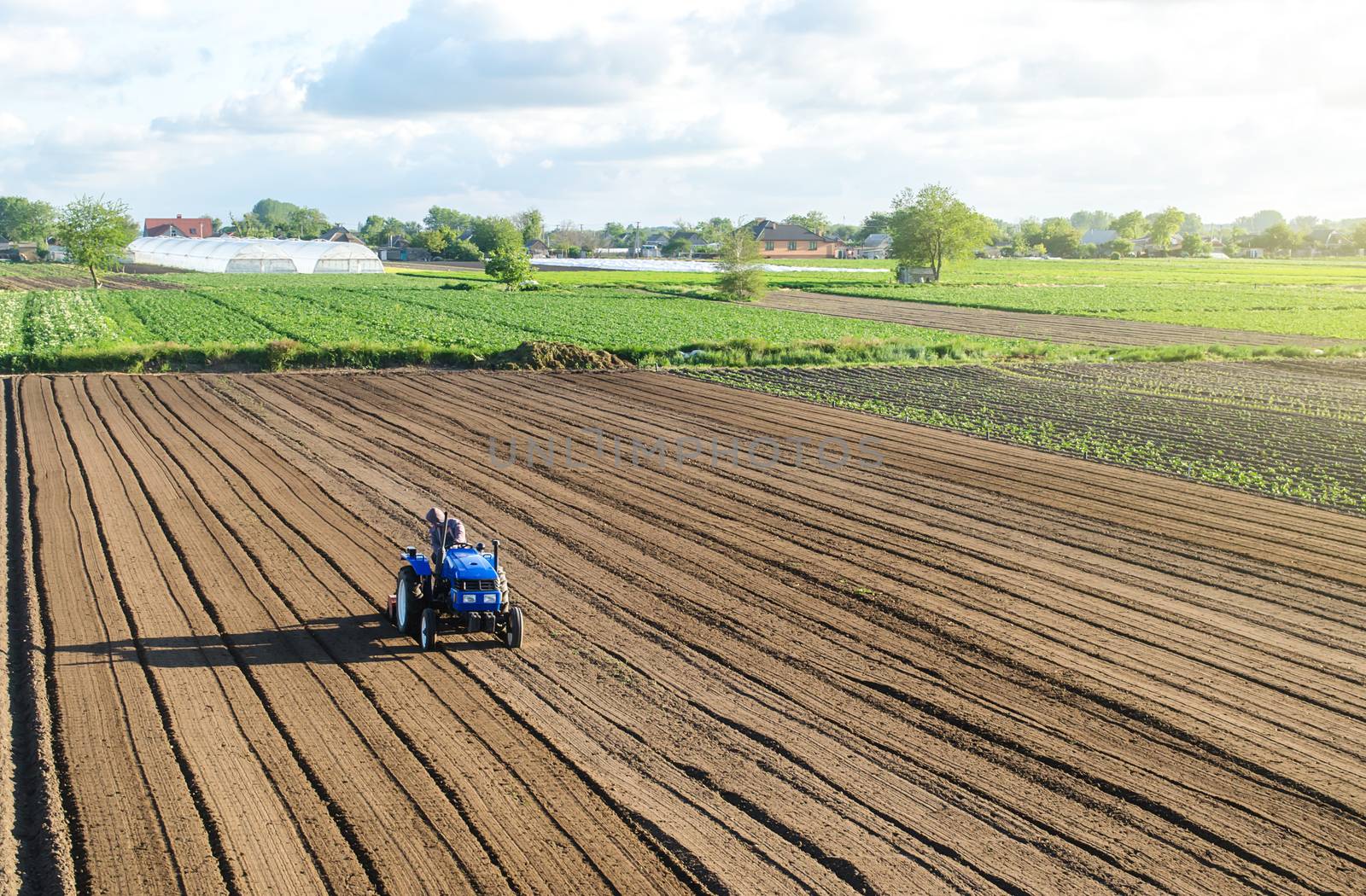 A farmer on a tractor processes a farm field. Farming and agriculture. Preparing the land for a new crop planting. Loosening the surface, cultivating soil for further planting. Work on the ground