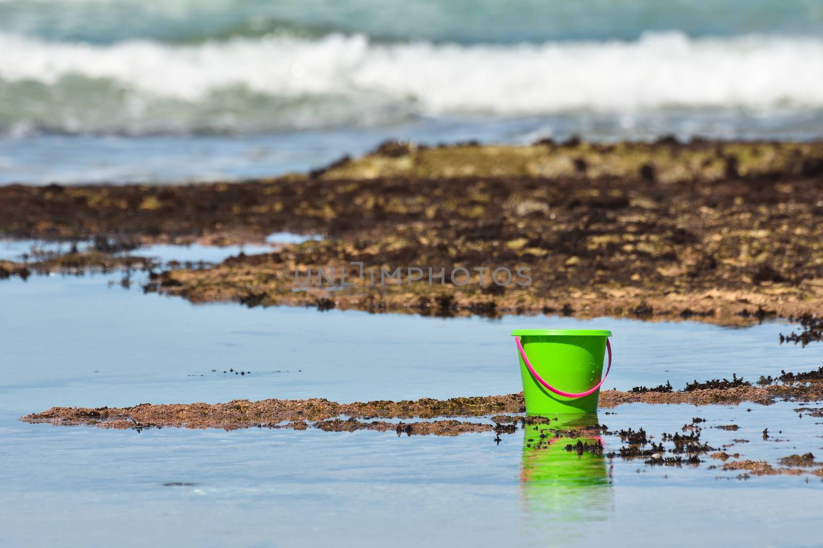 Green bucket on calm water rock pools by the ocean during mollusk foraging, Mossel Bay, South Africa