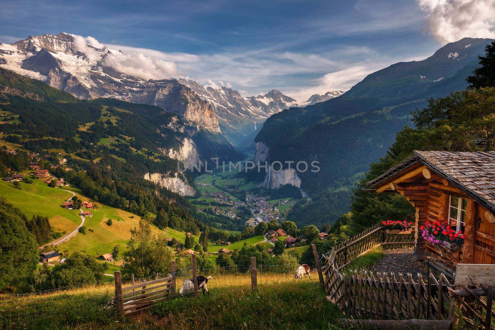 Lauterbrunnen valley in the Swiss Alps viewed from the alpine village of Wengen by nickfox