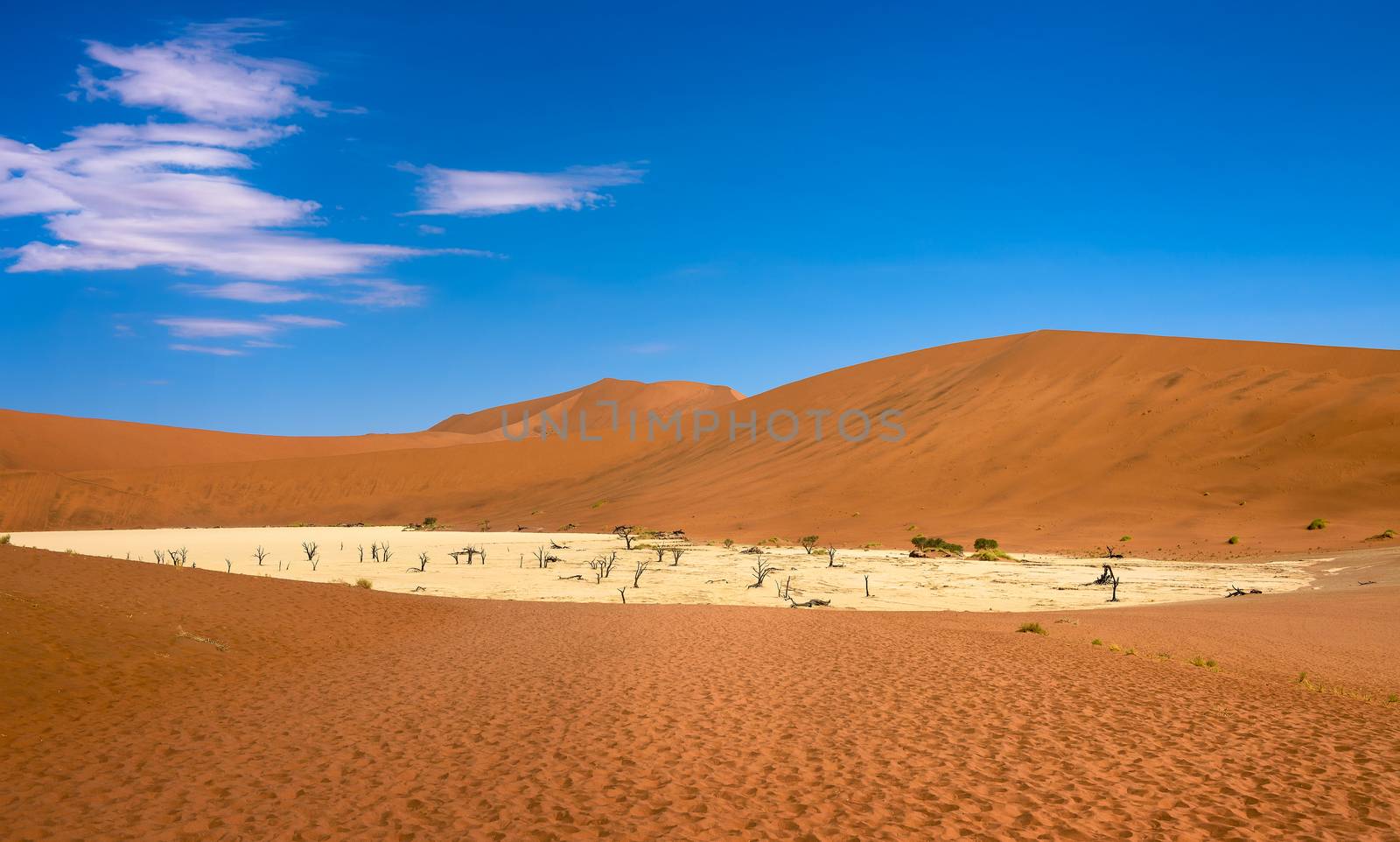 Deadvlei with dead trees in the Namib desert of Namibia by nickfox