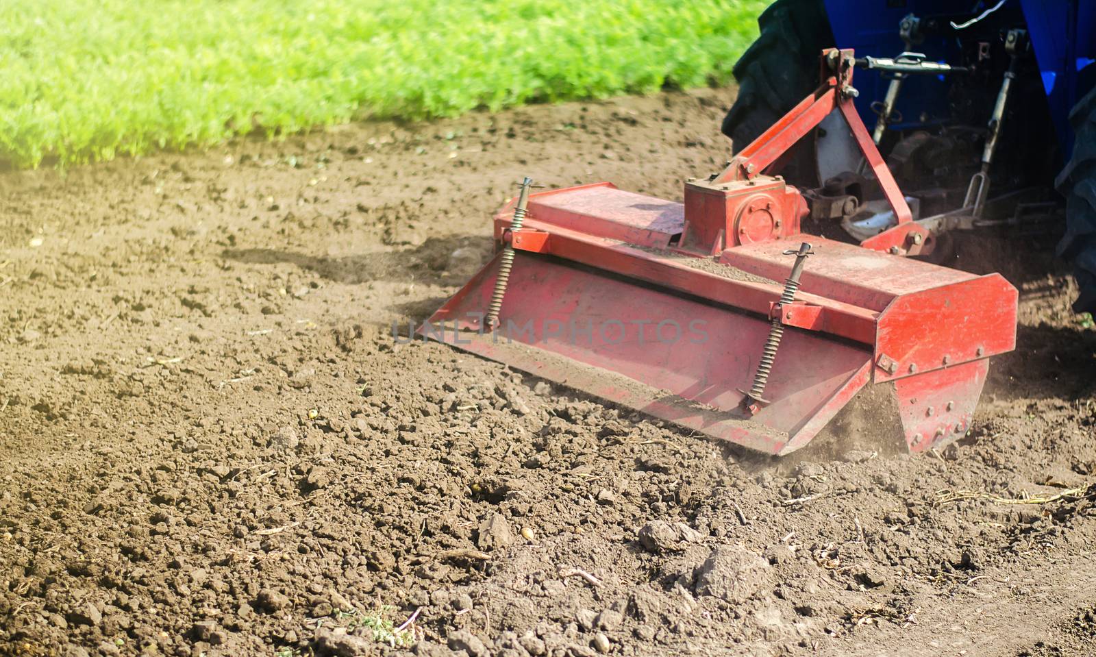 Tractor with milling machine loosens, grinds and mixes ground. Grinding and loosening soil, removing plants and roots from past harvest. Field preparation for new crop planting. Cultivation equipment. by iLixe48