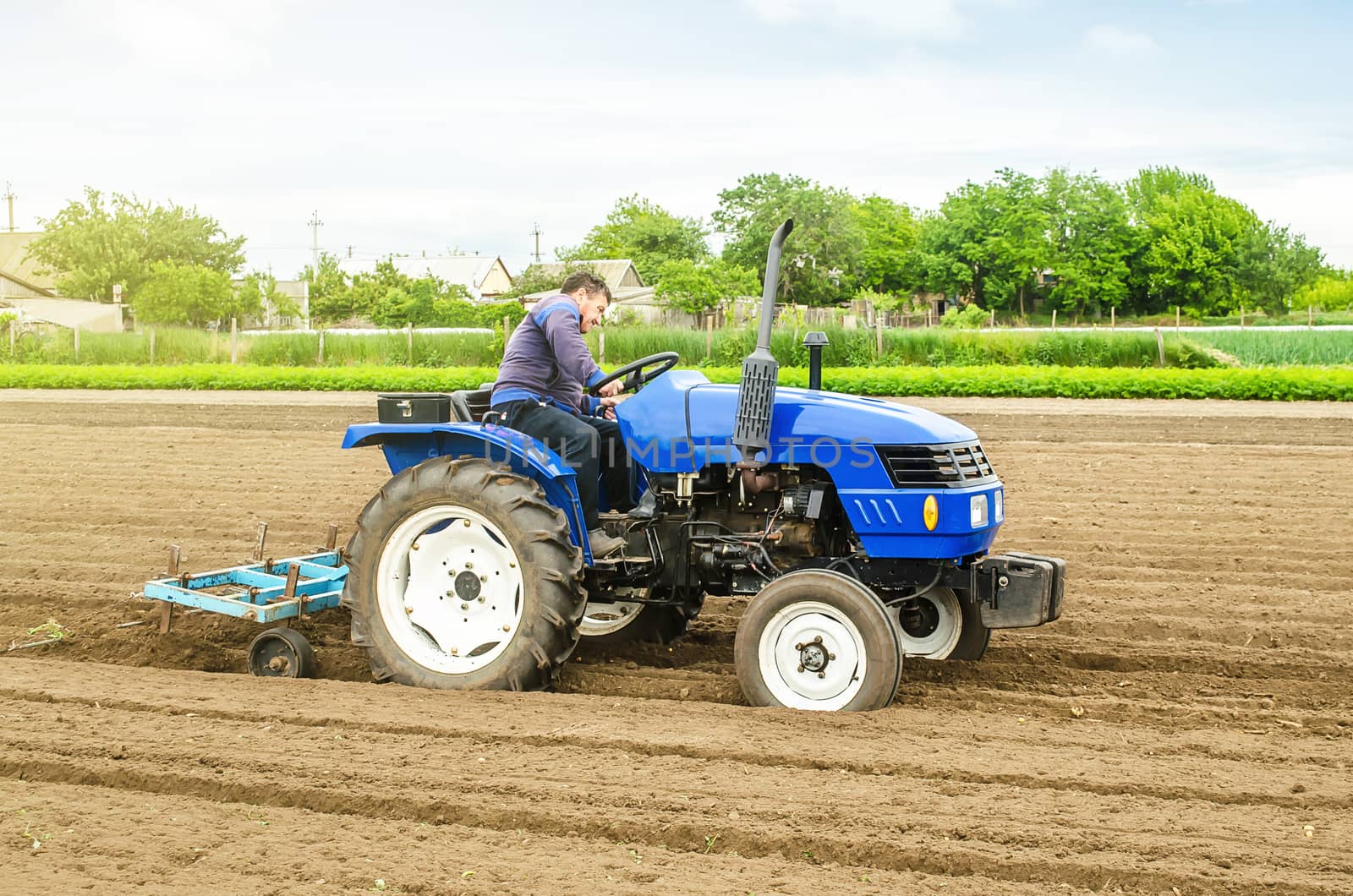 A white caucasian farmer on a tractor making rows on a farm field. Preparing the land for planting future crop plants. Cultivation of soil for planting. Agroindustry, agribusiness. Farming, farmland. by iLixe48