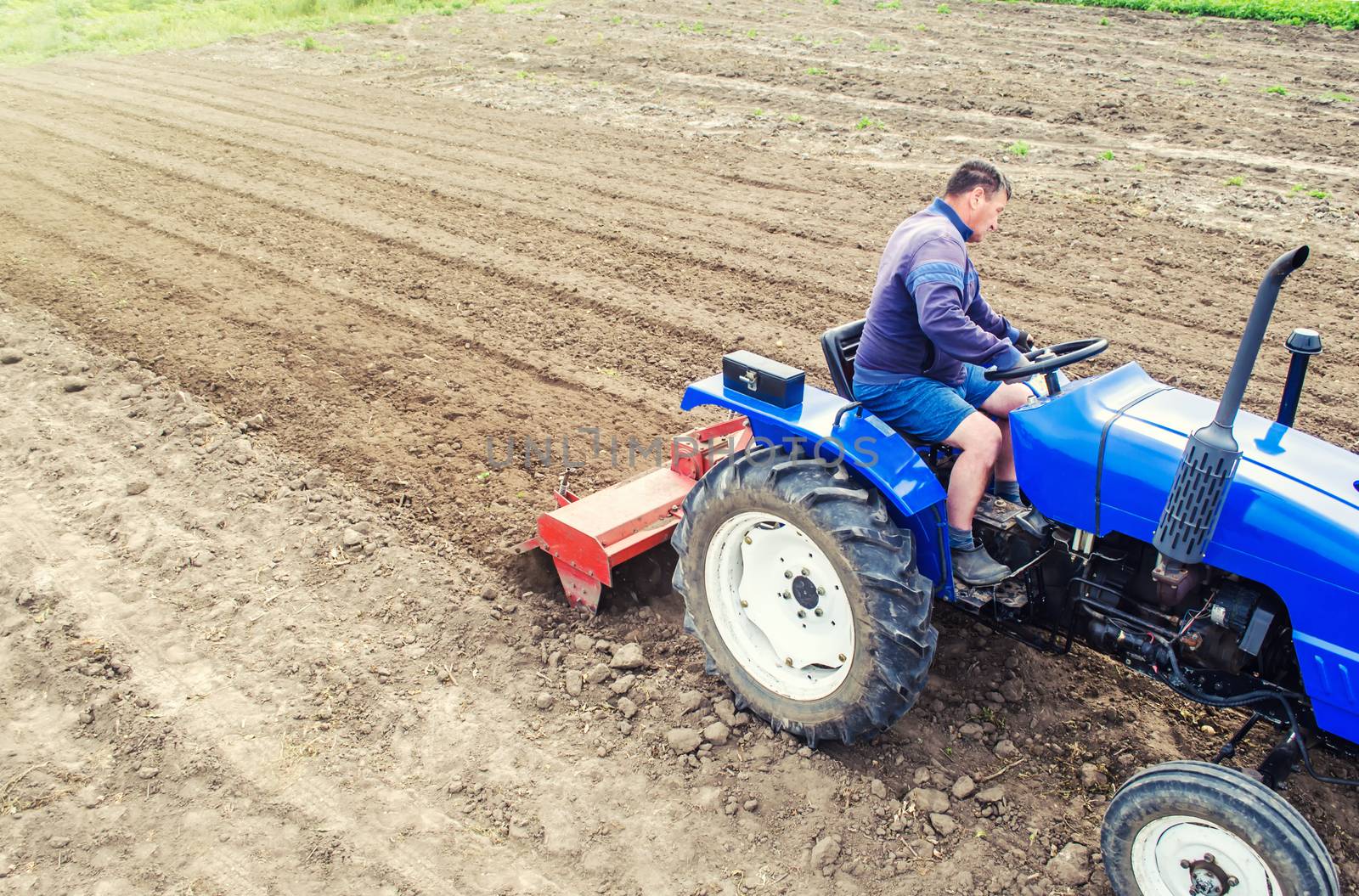 A farmer on a tractor cultivates a farm field. Grinding and loosening soil, removing plants and roots from past harvest. Field preparation for new crop planting. Cultivation equipment. by iLixe48