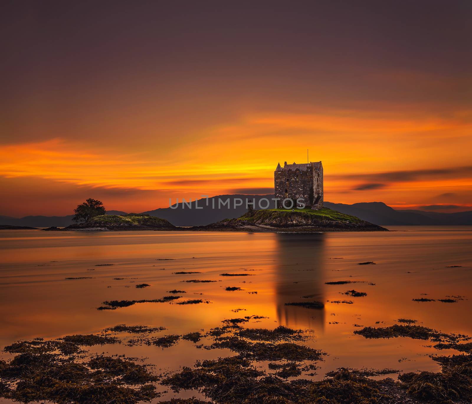Sunset over Castle Stalker on Loch Appin in Scotland, United Kingdom by nickfox