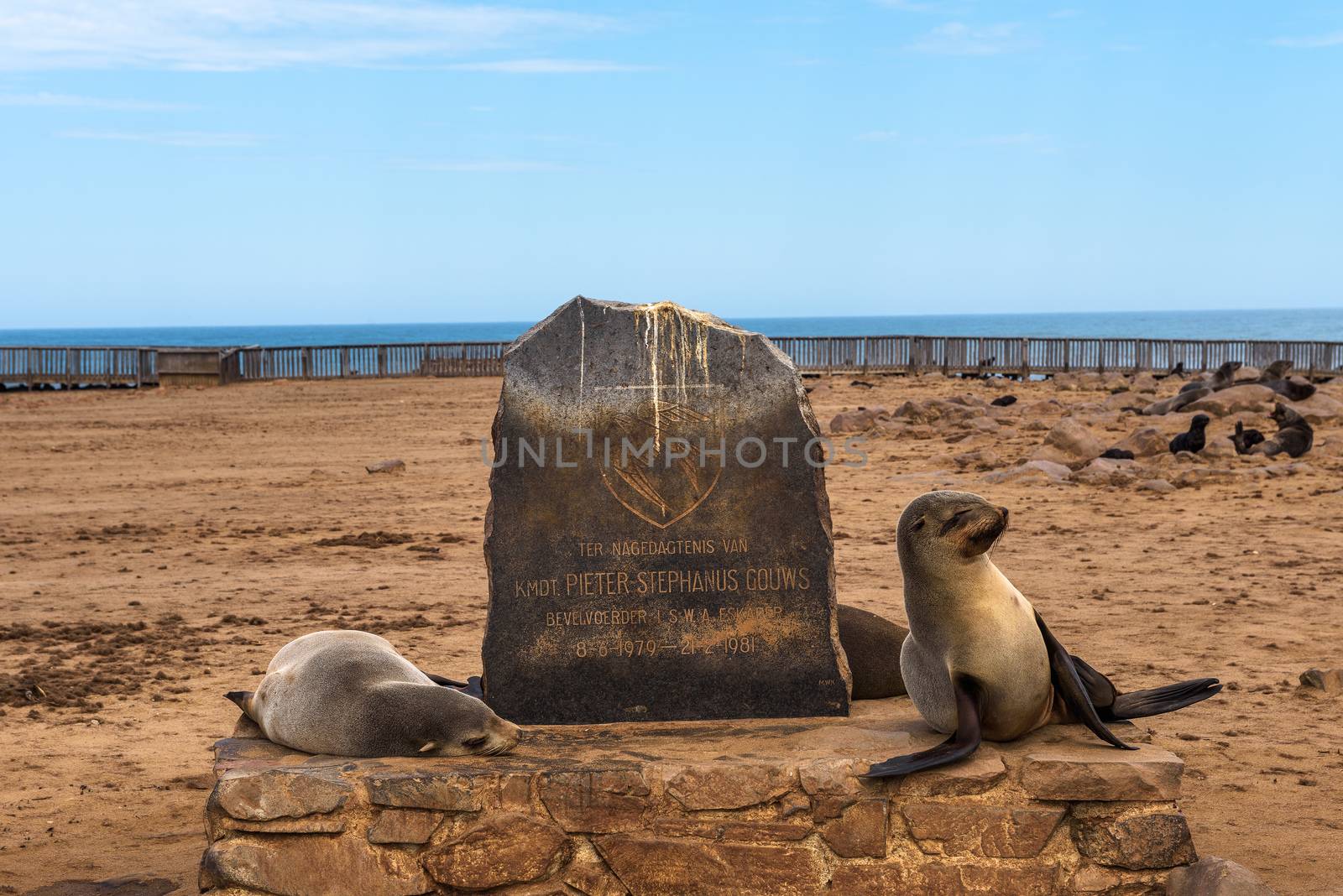 Seals at the Cape Cross Seal Reserve in Namibia and its entry sign with text In memory of kmdt. Pieter Stephanus Gouws. It is the home of one of the largest colonies of Cape fur seals in the world.