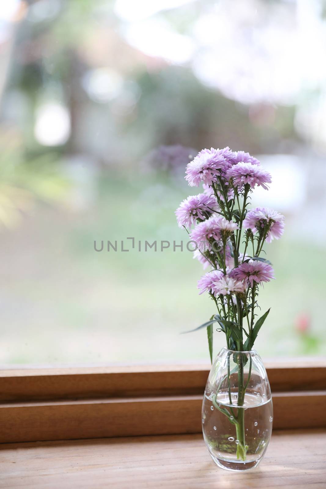 purple flower in jar on wood background in japanese restuarant by piyato