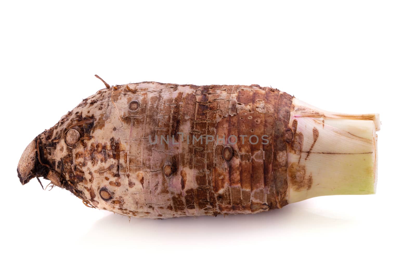 taro root isolated on a white background.