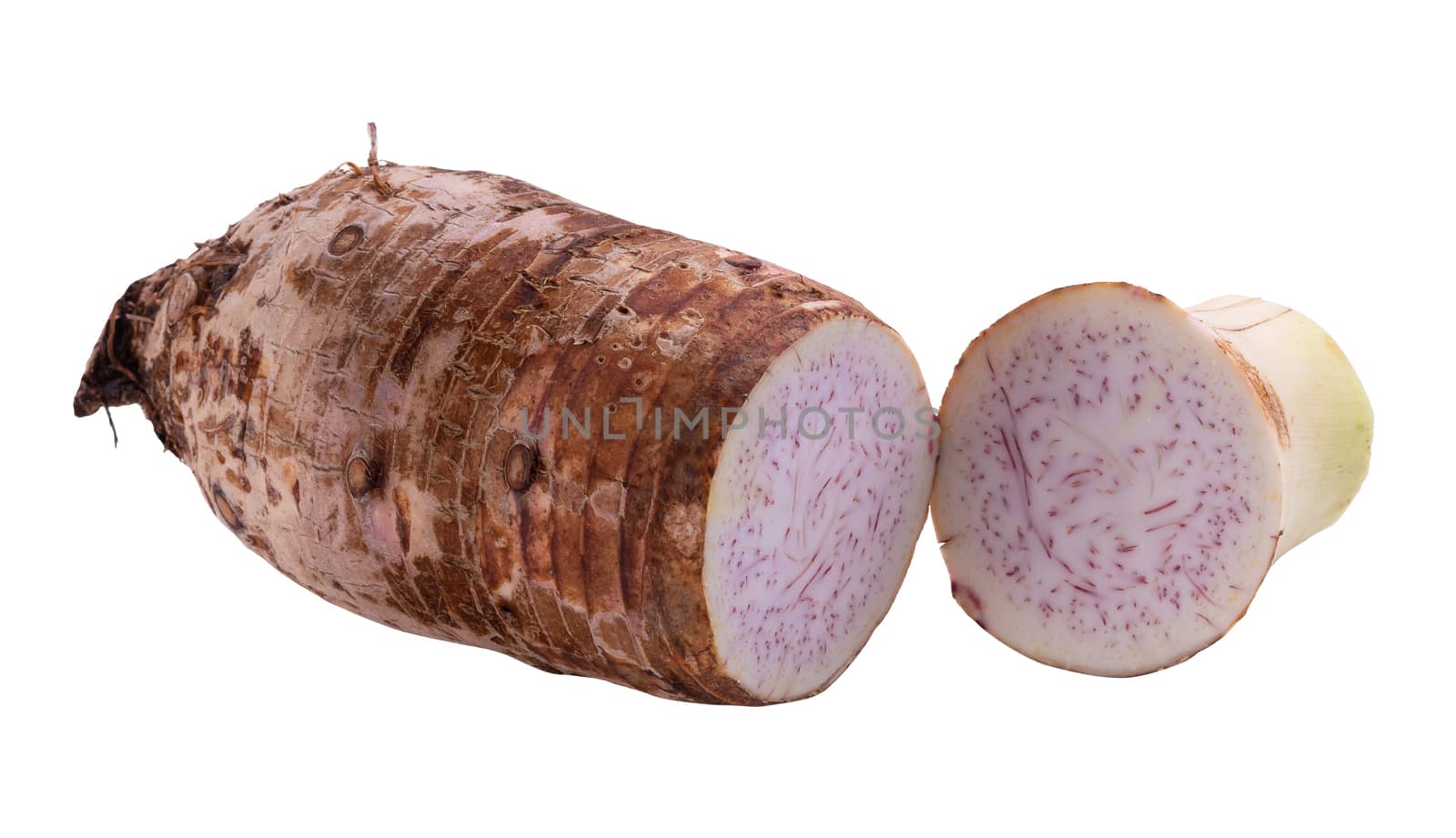 taro root isolated on a white background. by kaiskynet