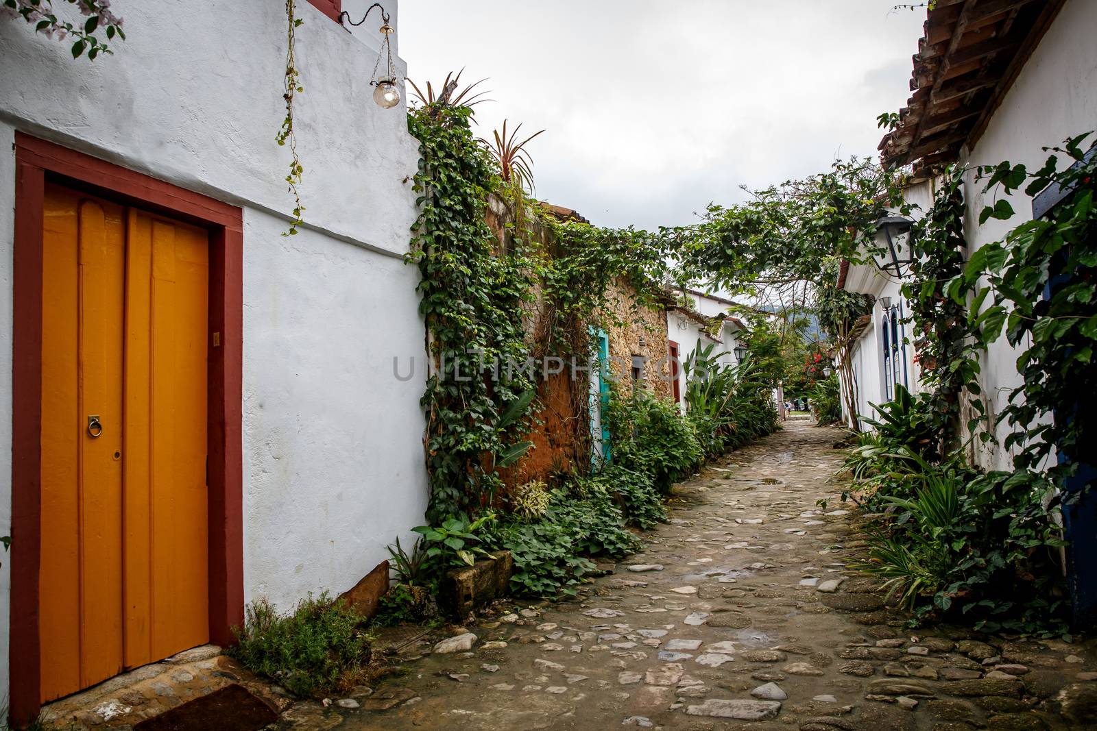 Old town street with flowers on the walls