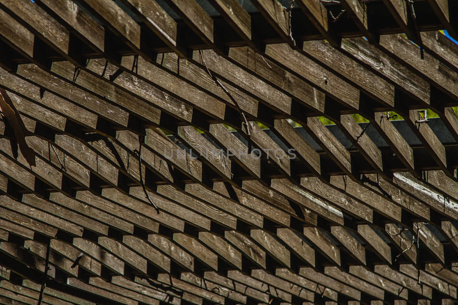 A wooden canopy structure