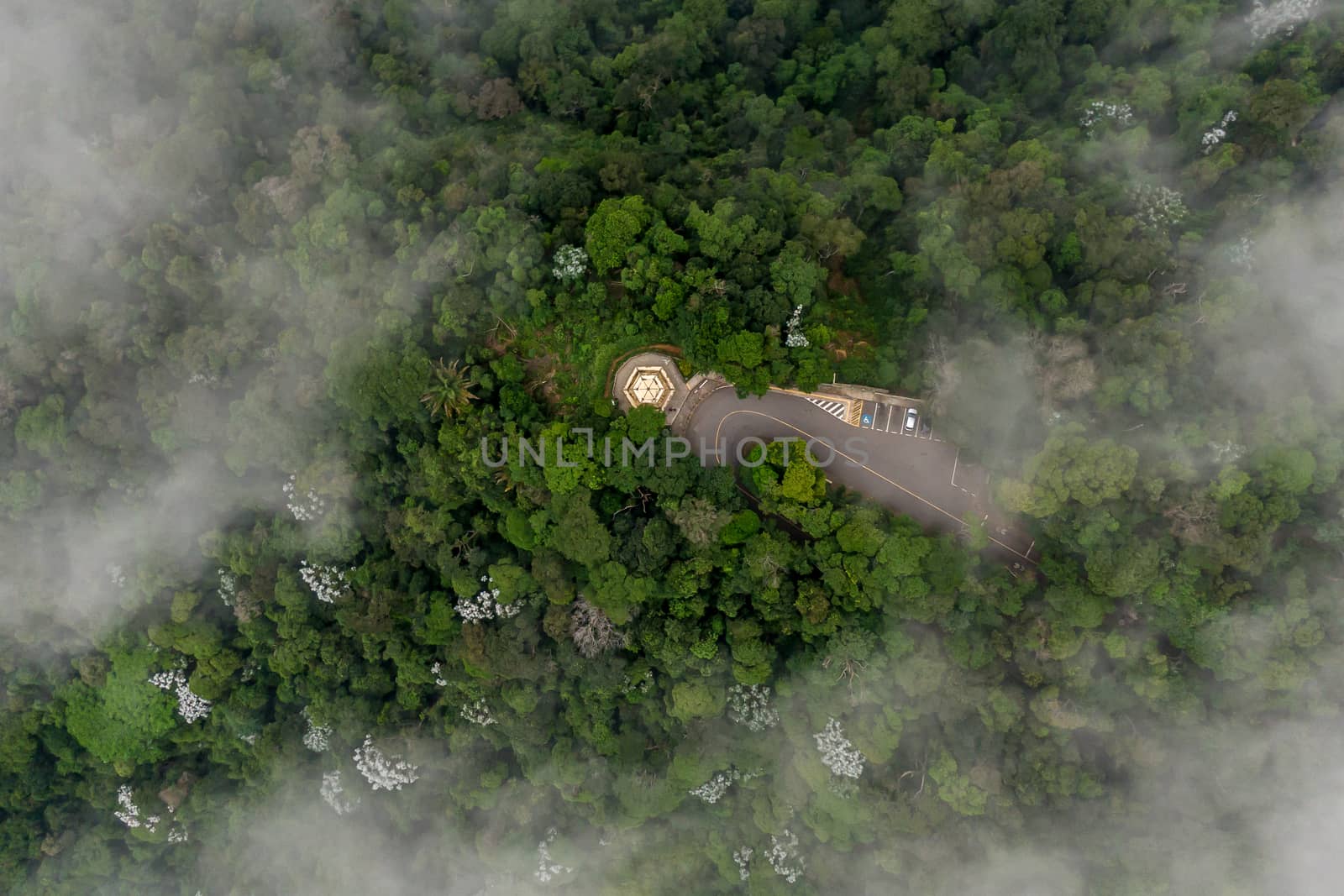 Scenic aerial view through the cloud looking at green forest and road.