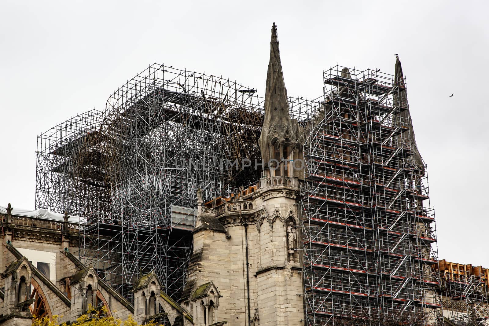 Paris, France - No?ember 26, 2019: Notre Dame de Paris, Reconstruction after the fire