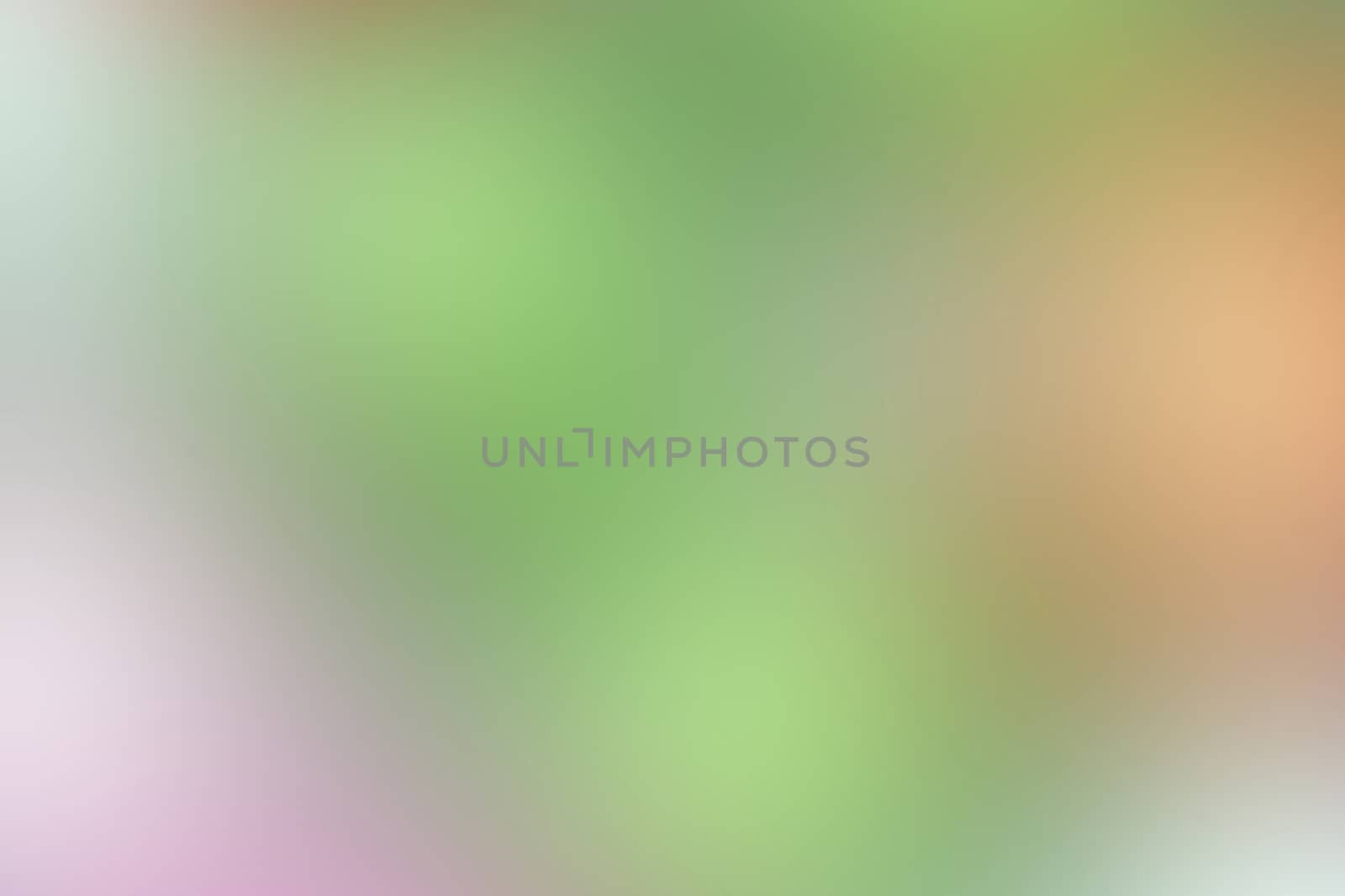 green soft color pastel blurred defocused, gradient multi color lights texture, colorful many gradient color background