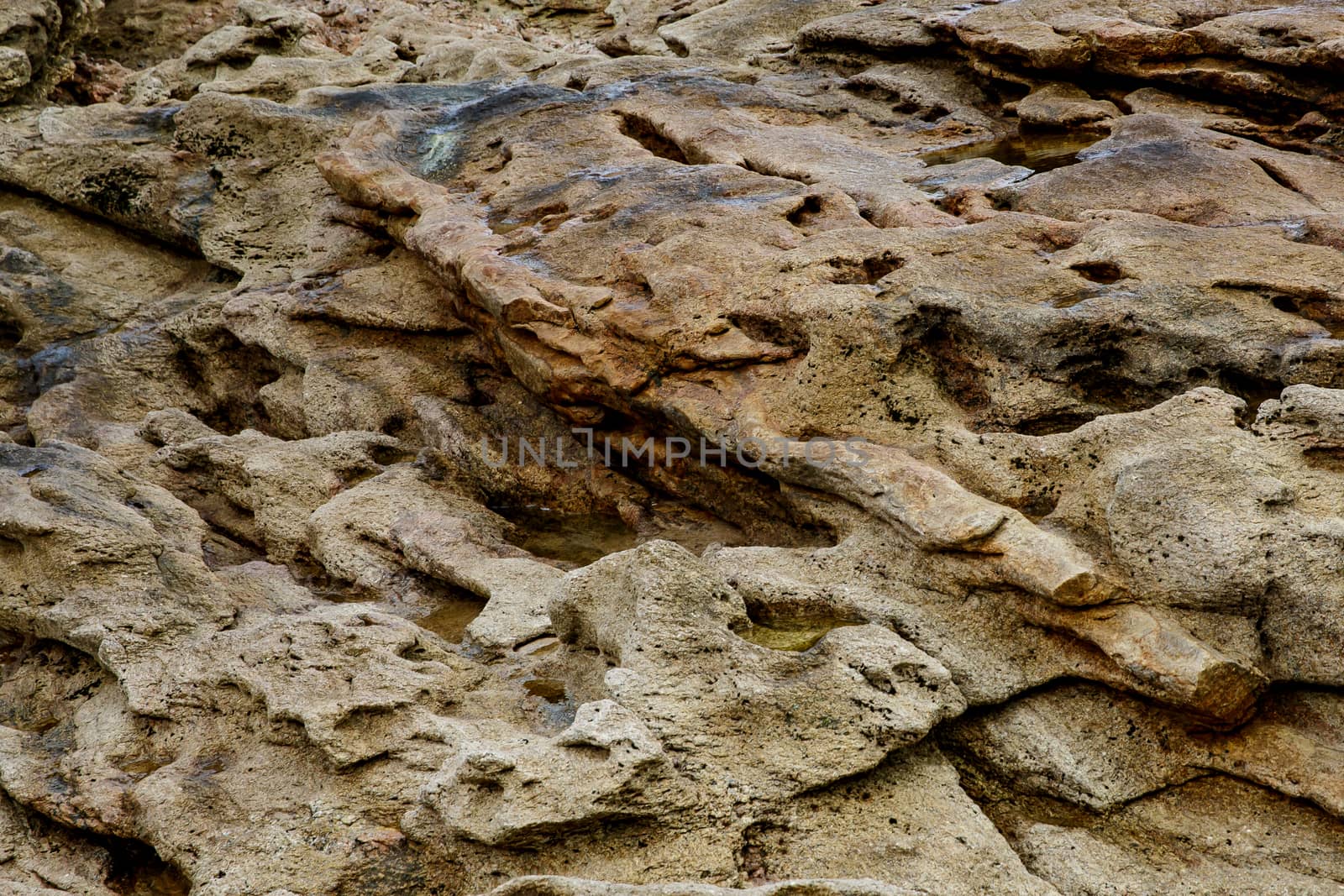 Stone background. Close-up rock texture by 9parusnikov