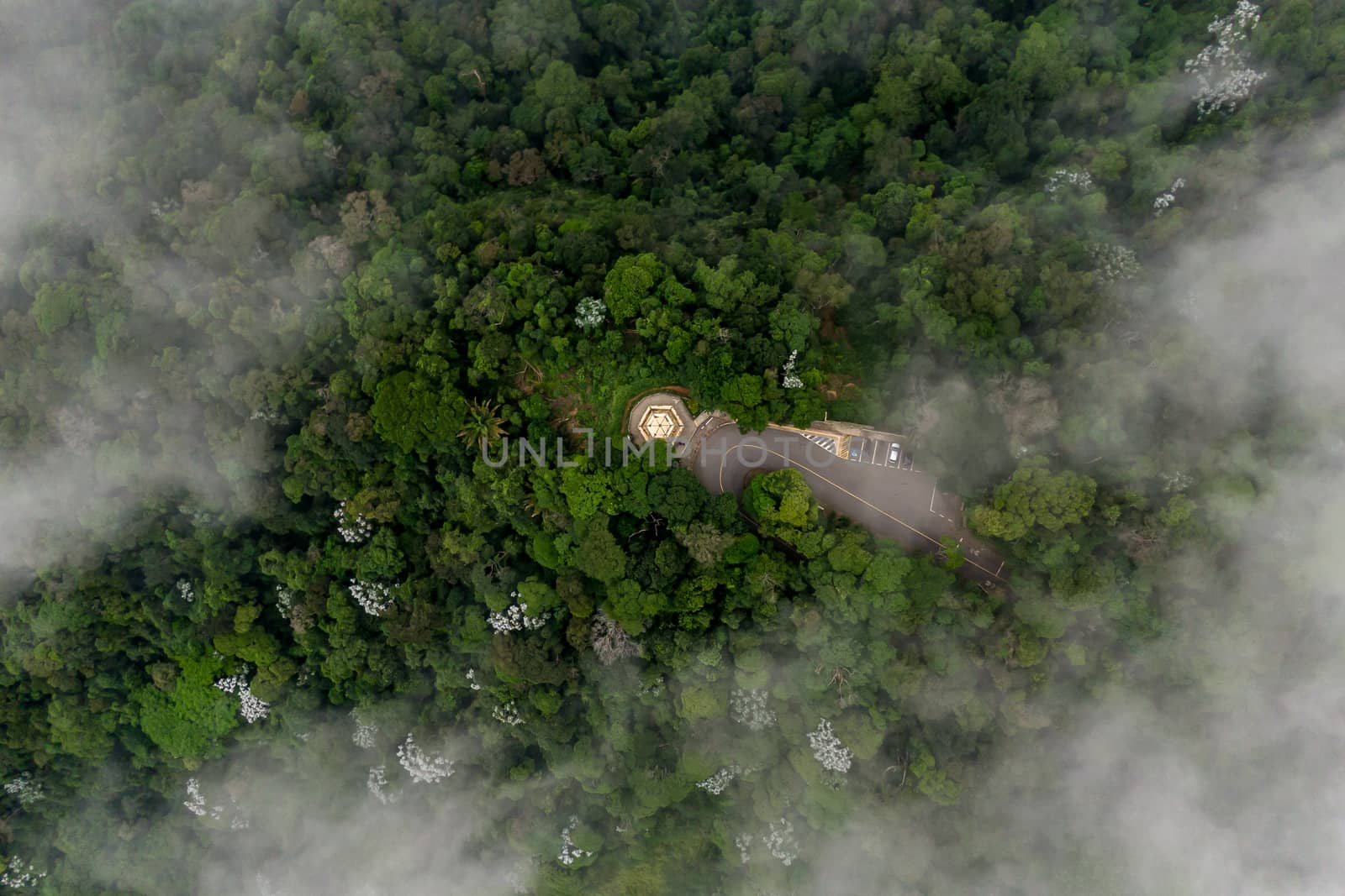 Scenic aerial view through the cloud looking at green forest and road.