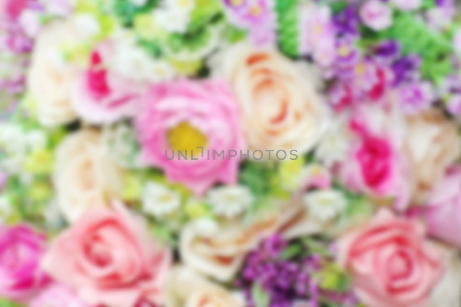 Blurred rose flower colorful soft background, Abstract soft rose flower for wedding card or valentine background, Blur flower Rose colorful wallpaper by cgdeaw