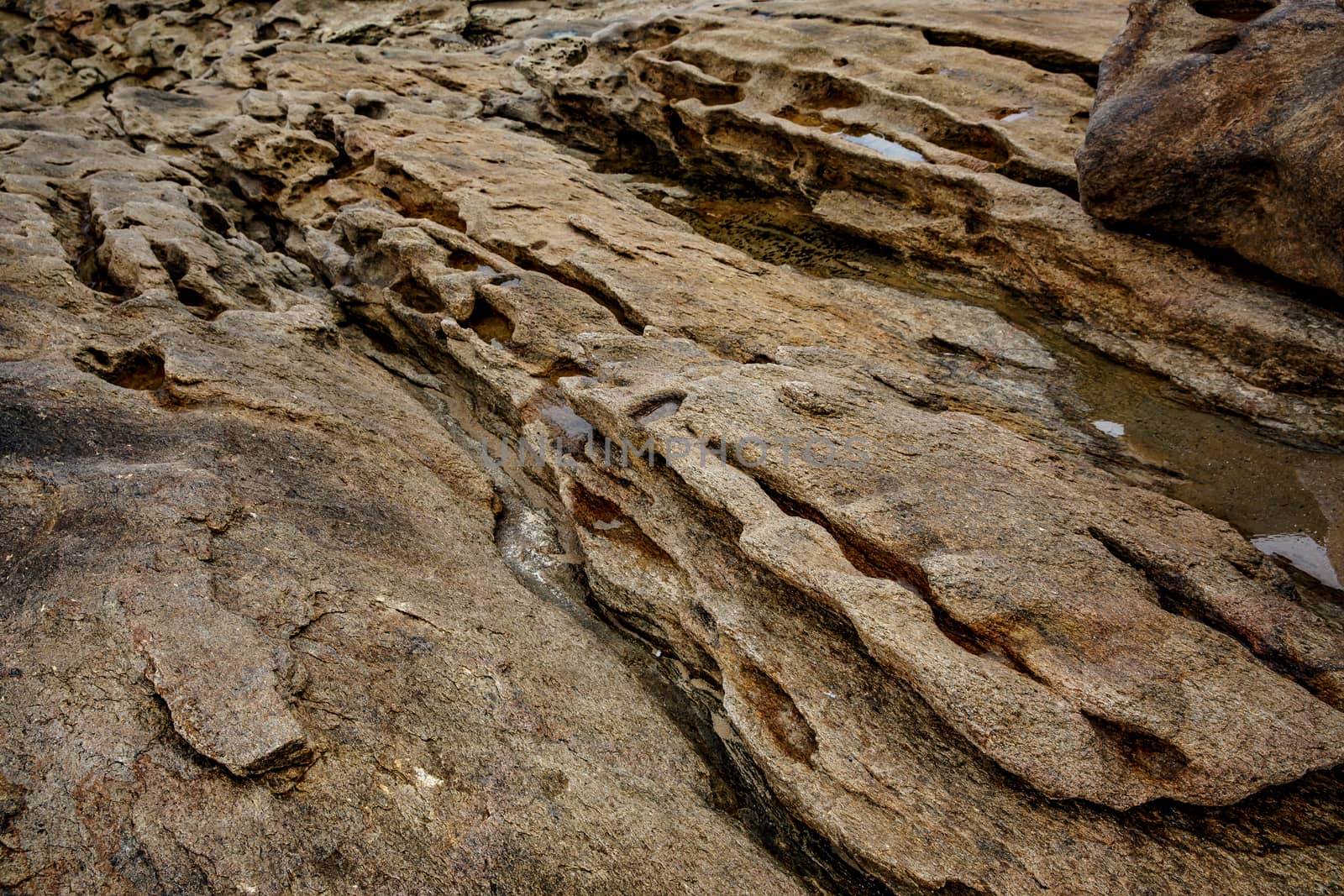 Stone background. Close-up rock texture.