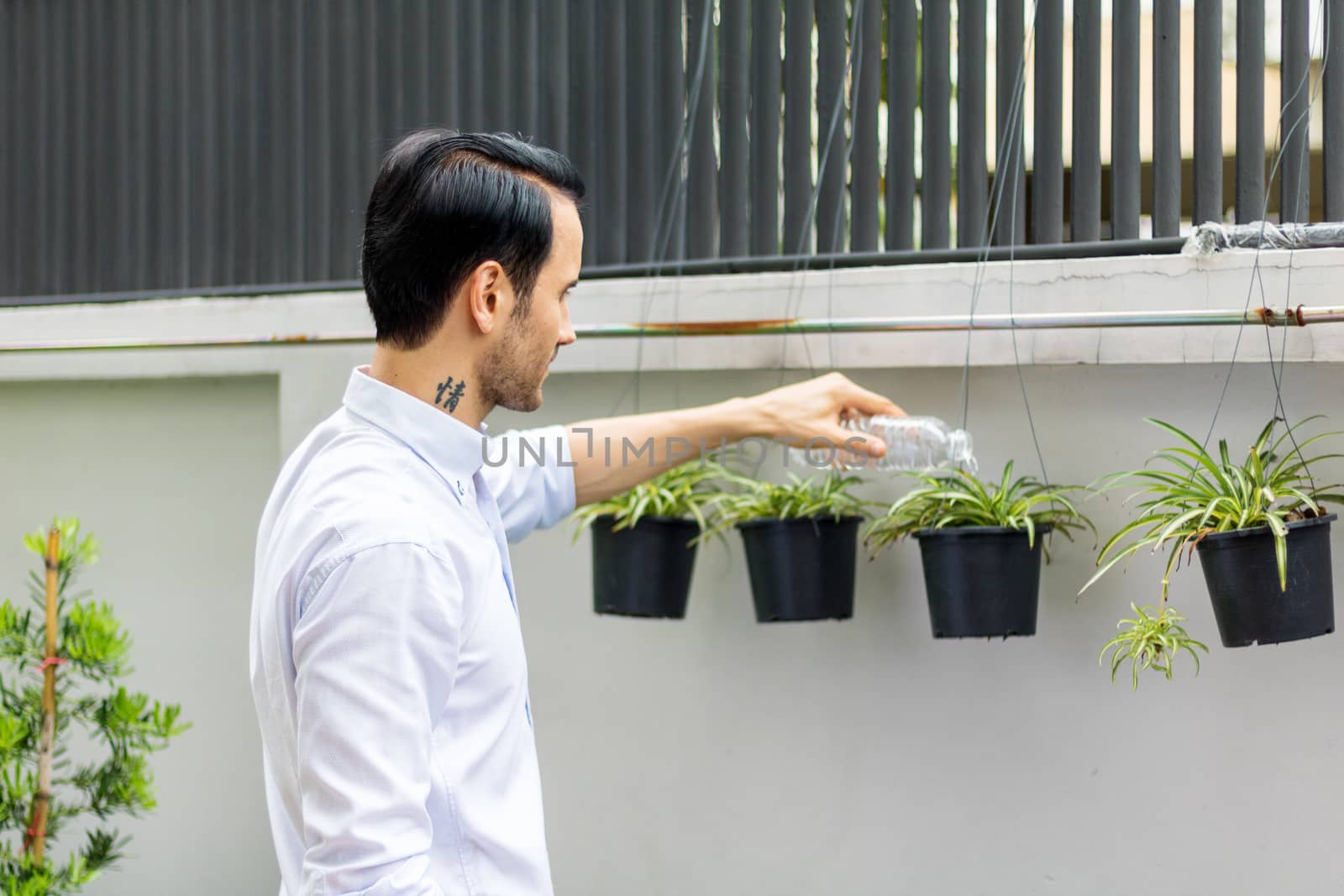 Young men watering plants in potted plants With recyclable plastic bottles When watering the plants, he twisted the plastic bottles to recycle.Young man working in the garden.