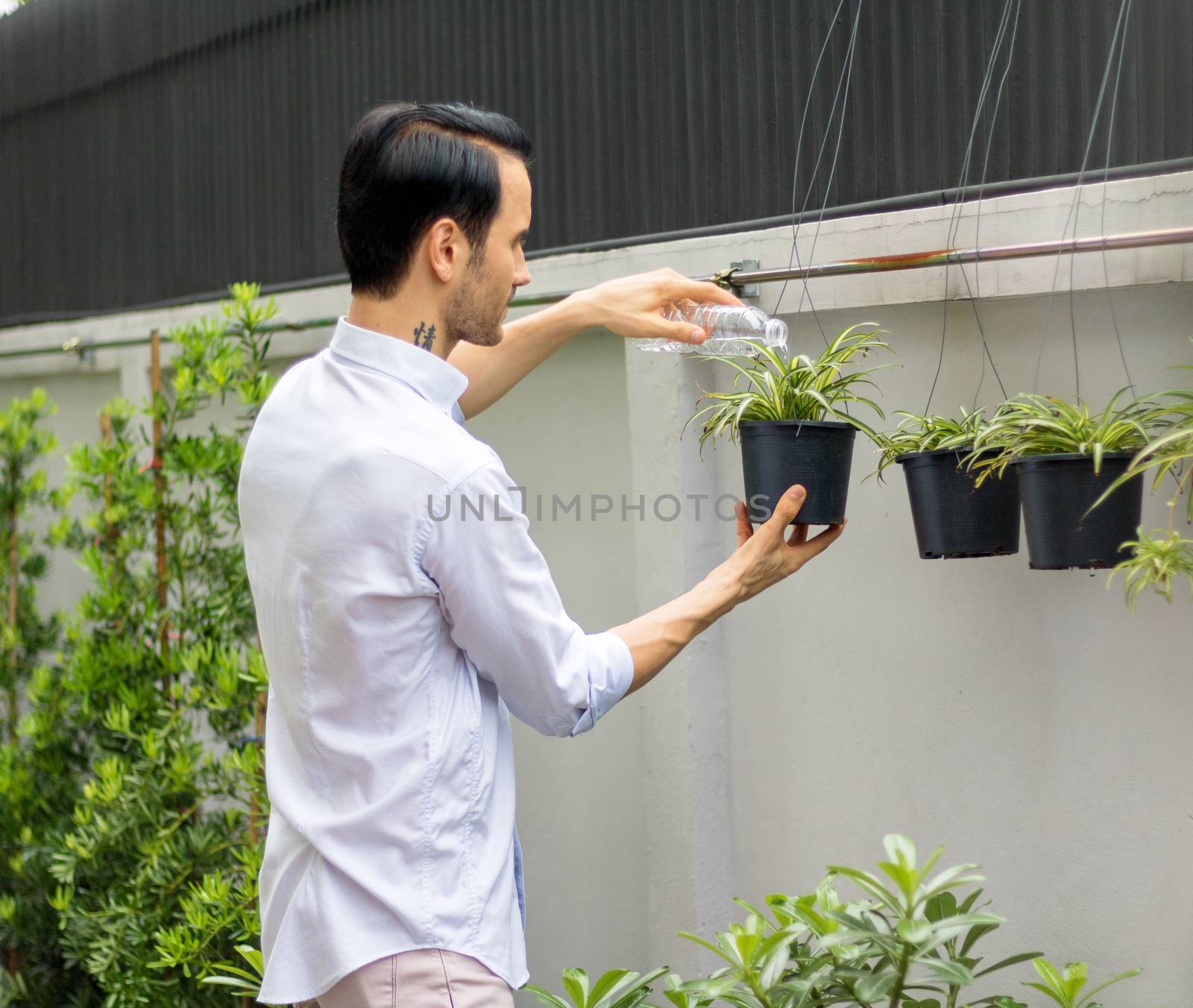 Young men watering plants in potted plants With recyclable plastic bottles When watering the plants, he twisted the plastic bottles to recycle.Young man working in the garden.